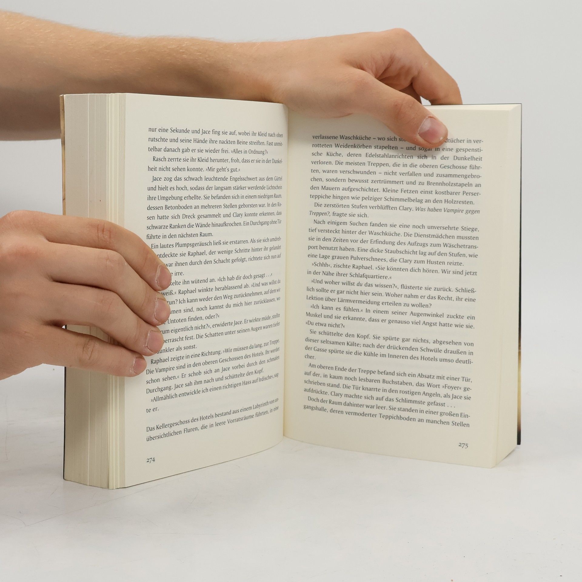 Cassandra Clare Chroniken der Unterwelt