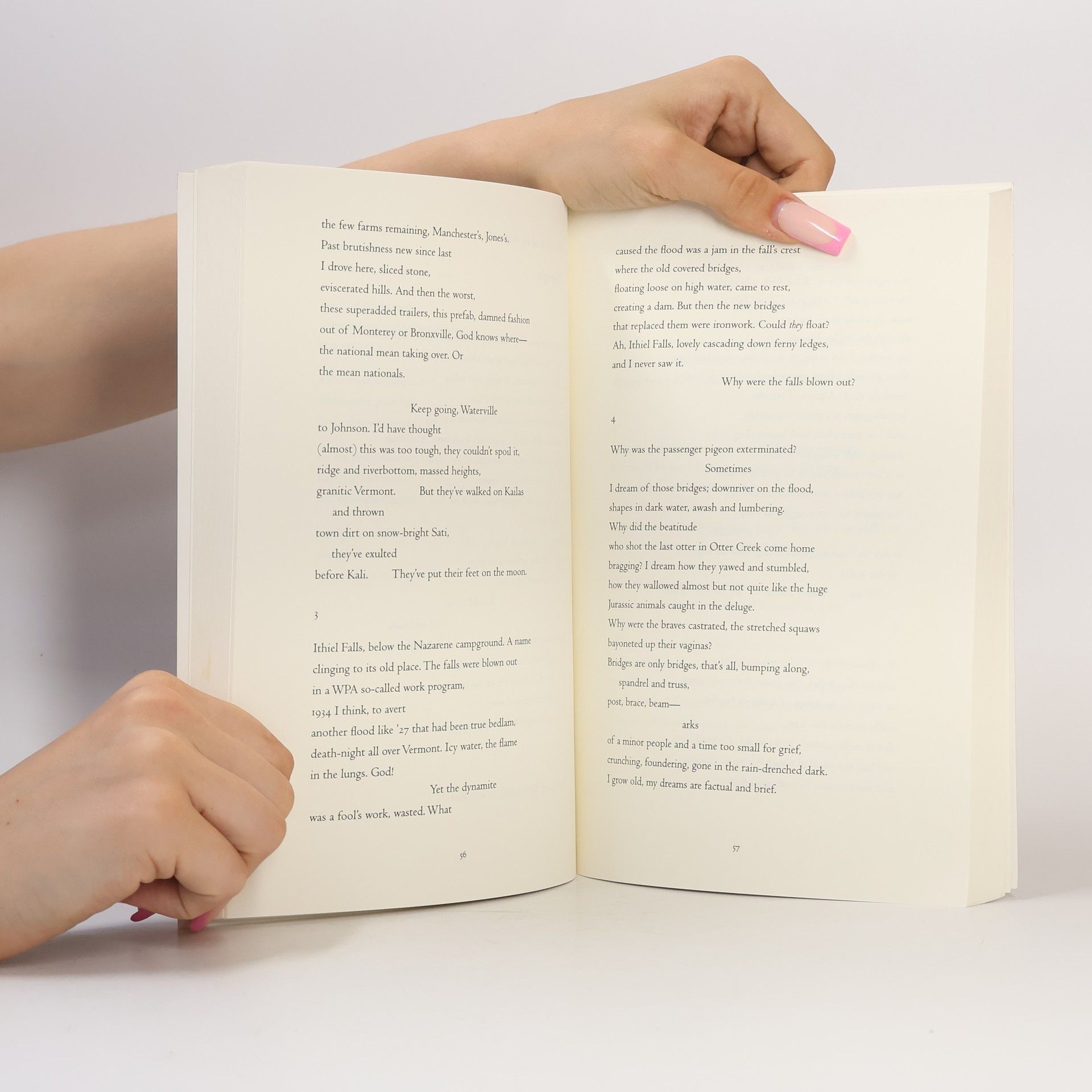 Stephen Dobyns Last Poems