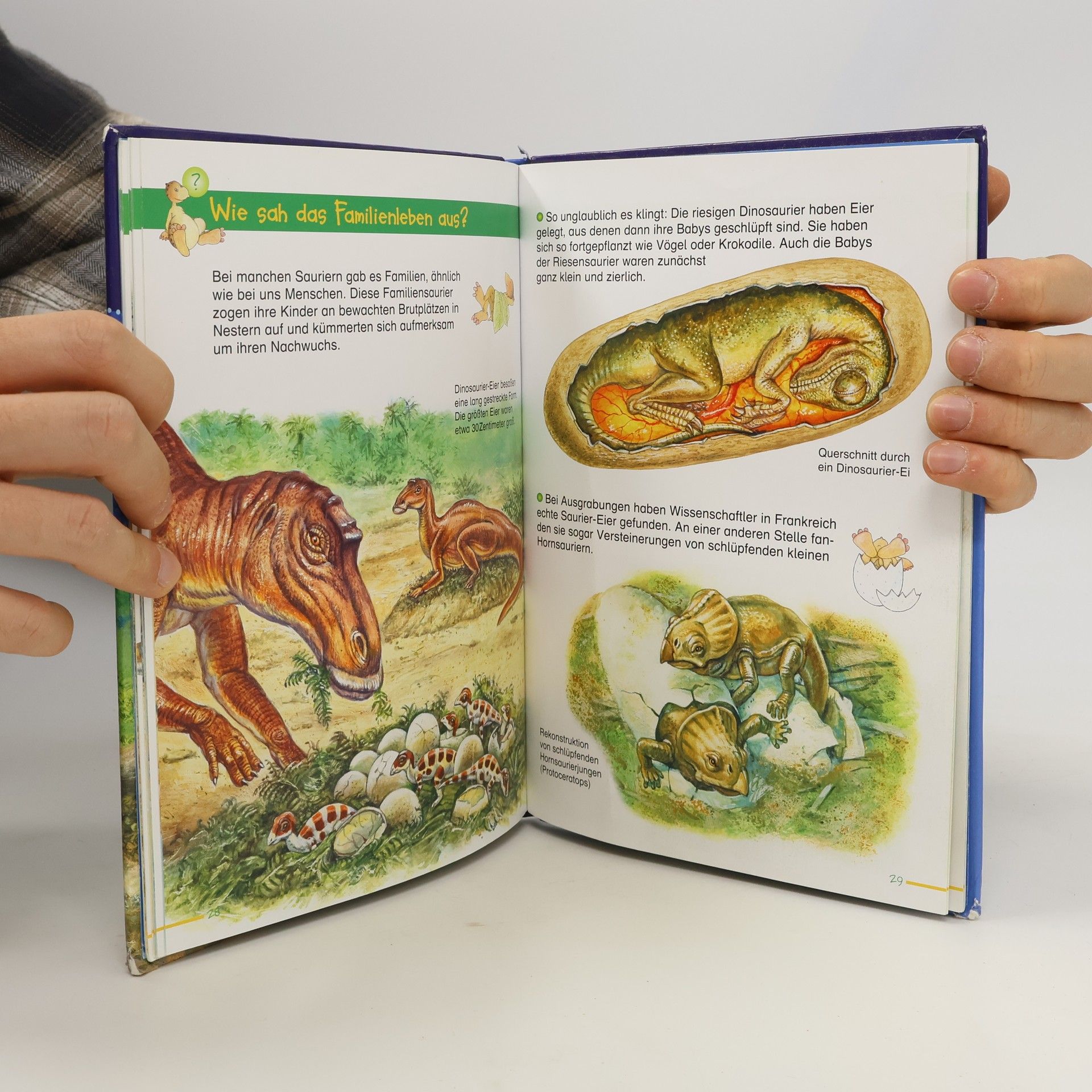 Marilis Lunkenbein Dinosaurier