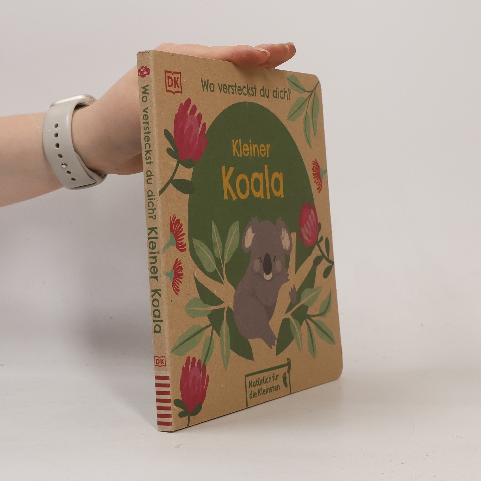 Franziska Jaekel Wo versteckst du dich? Kleiner Koala