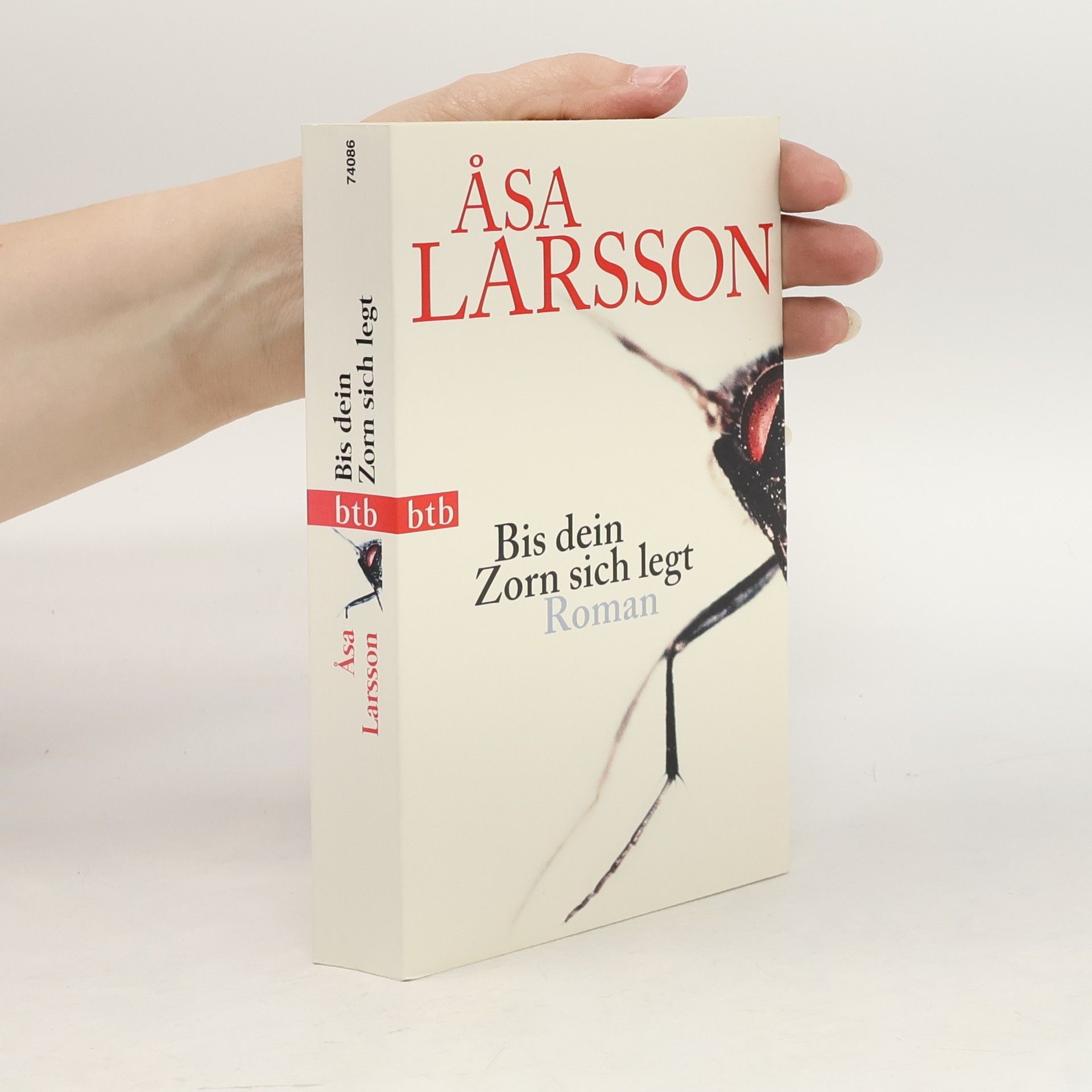 Åsa Larsson Bis dein Zorn sich legt