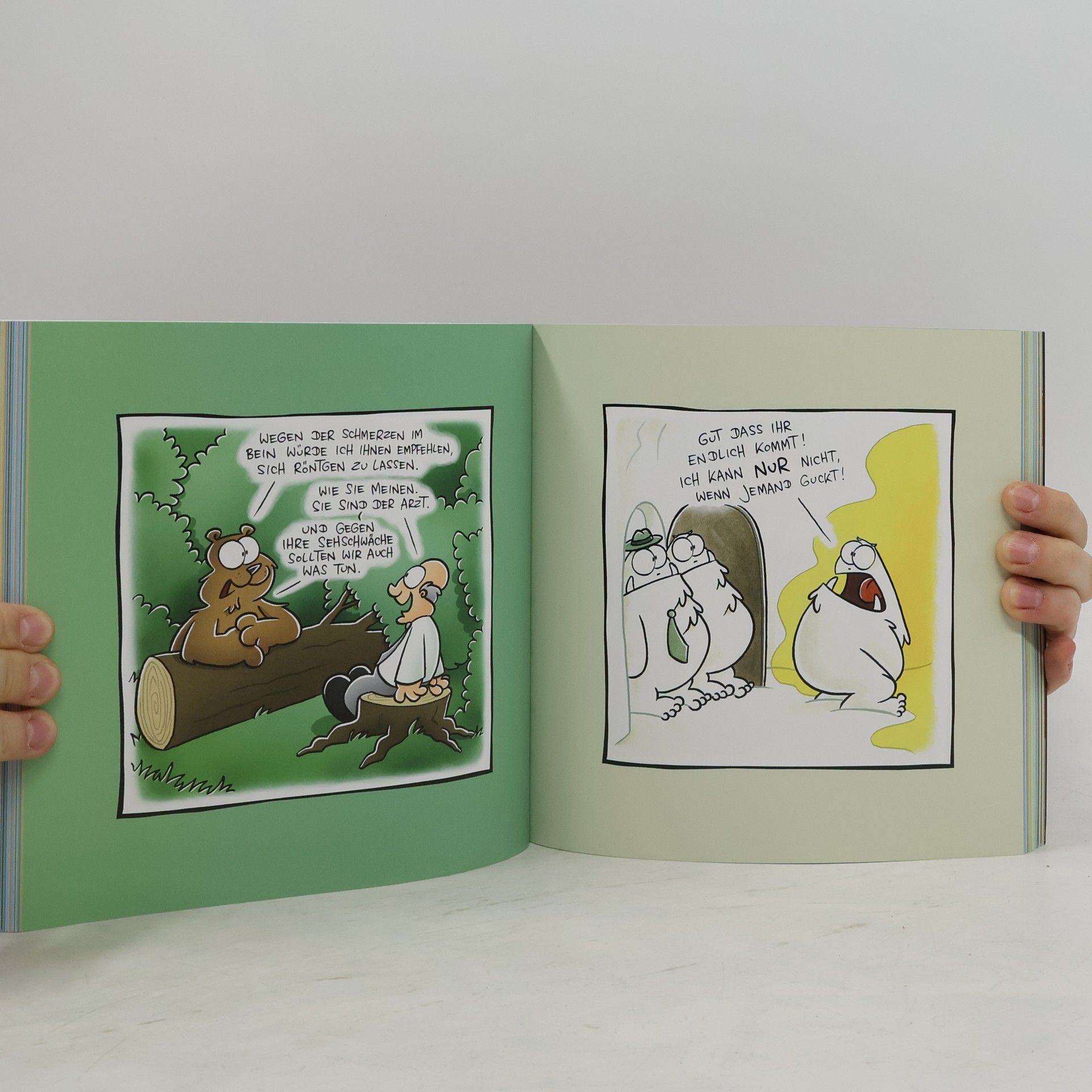 Joscha Sauer Nichtlustig - ein Buch?! Besser als Gold!