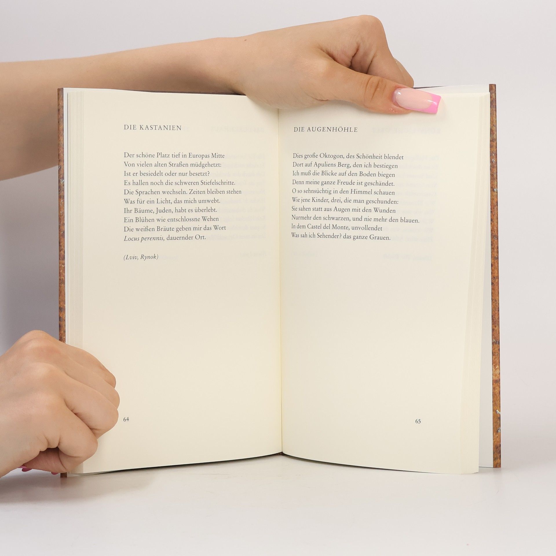 Volker Braun Handbibliothek der Unbehausten