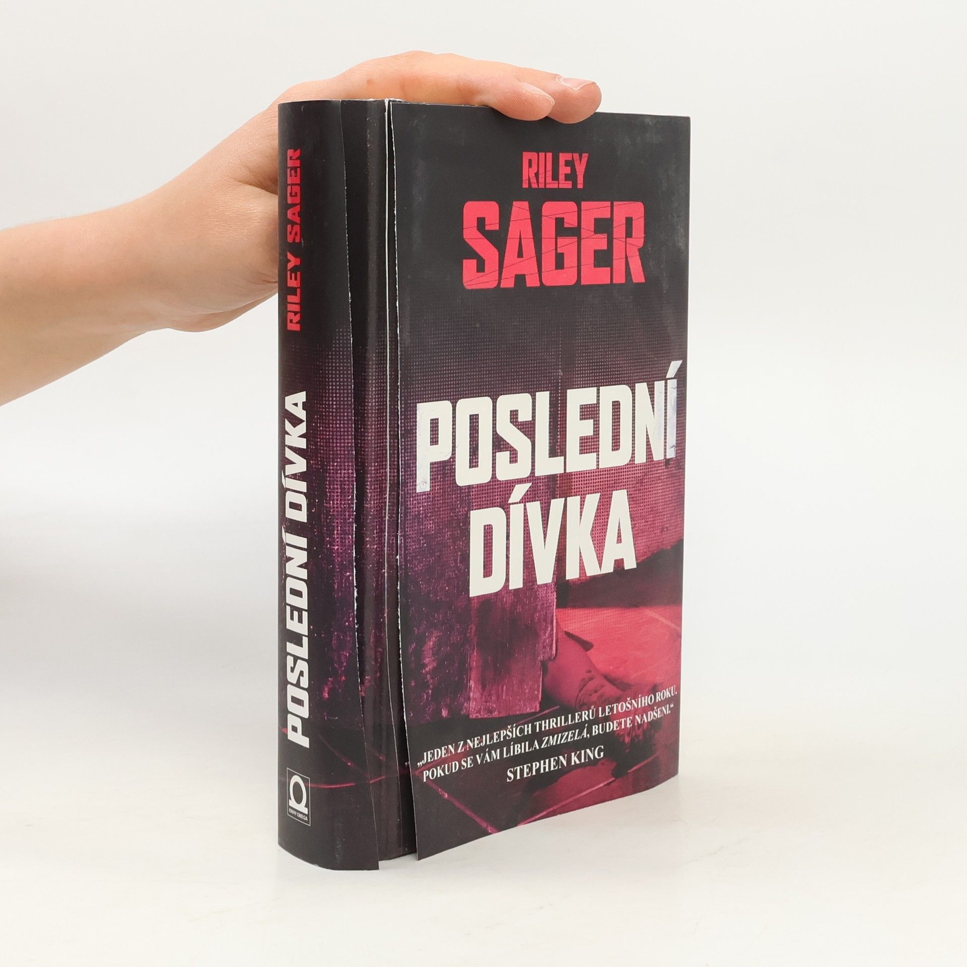 Todd Ritter Poslední dívka