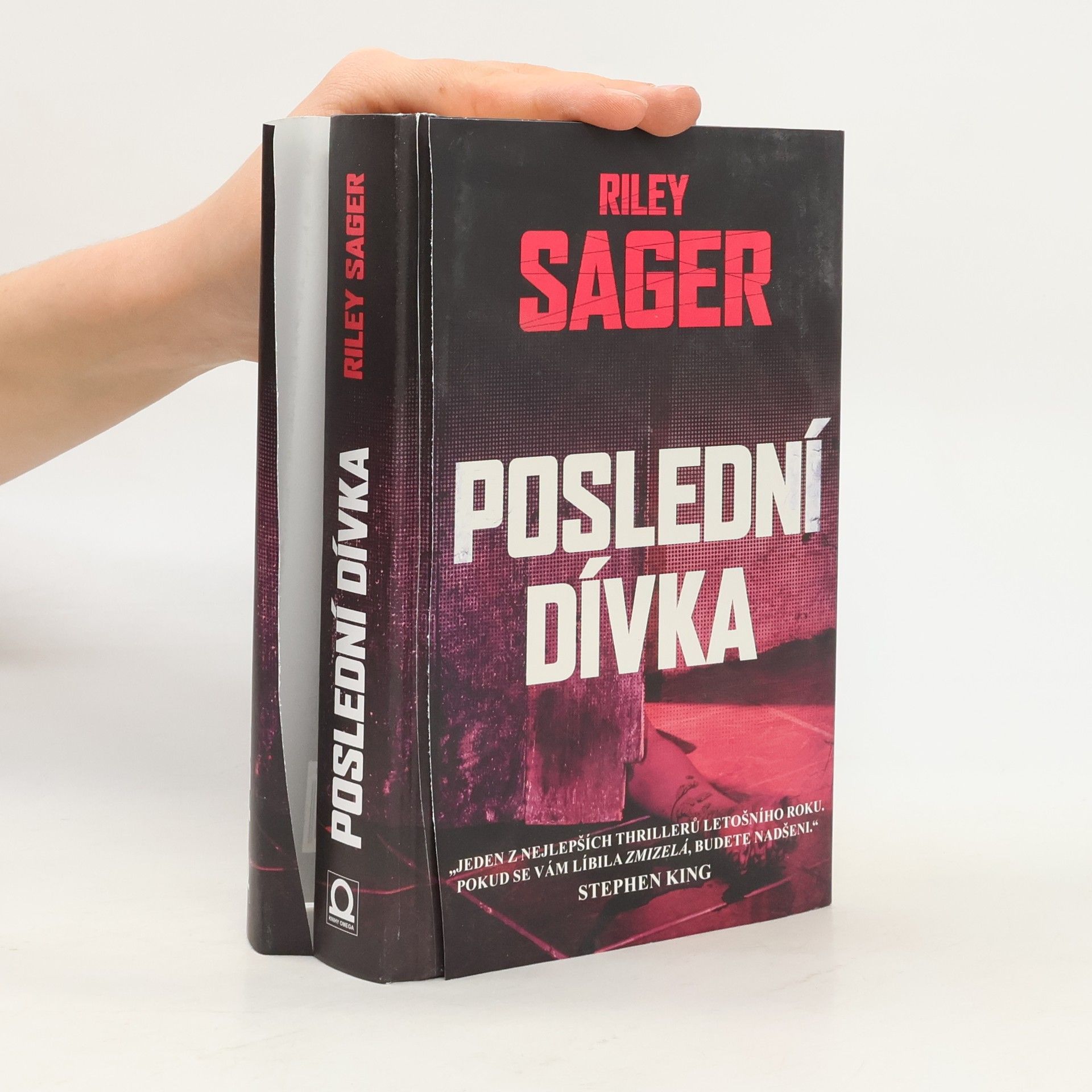 Todd Ritter Poslední dívka