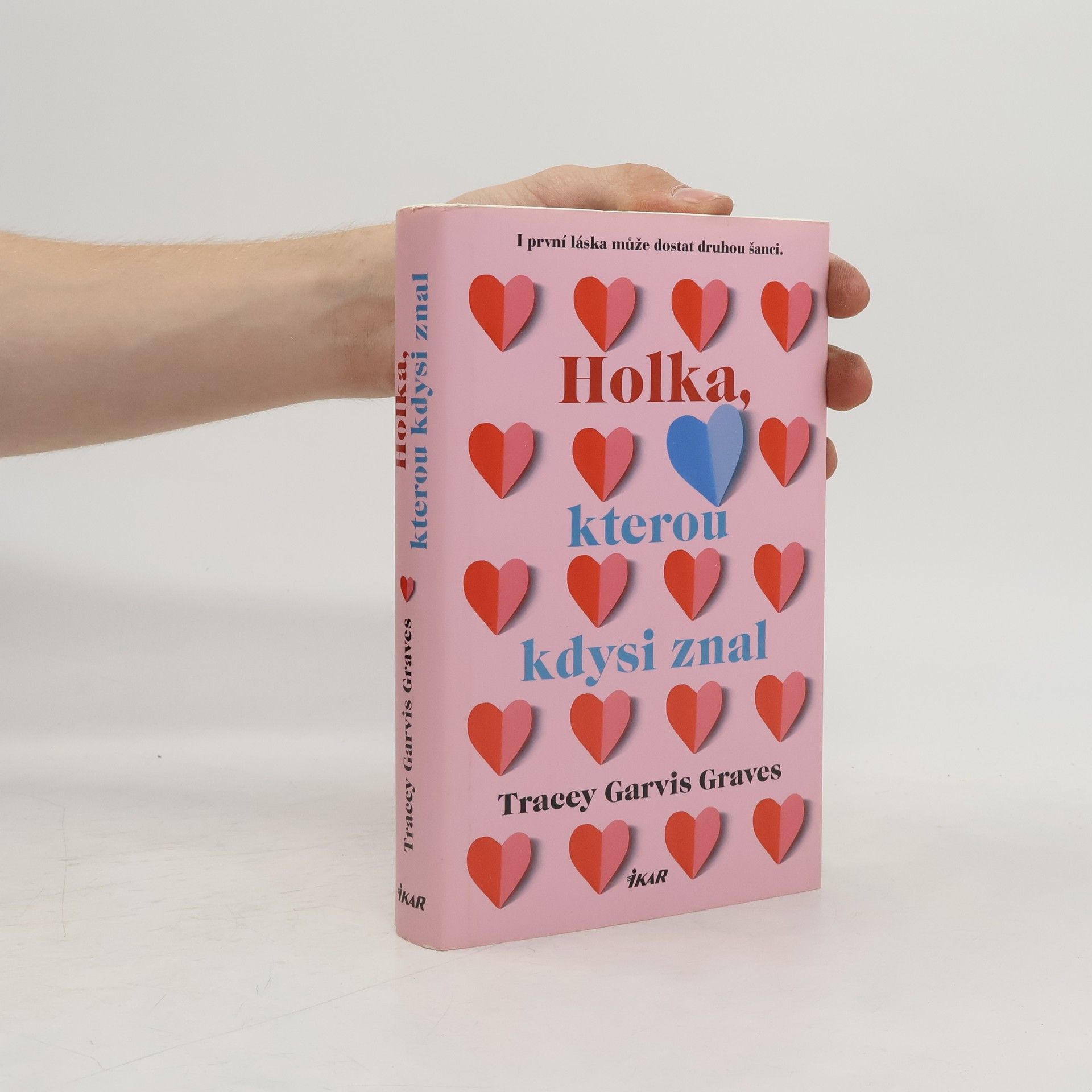 Tracey Garvis Graves Holka, kterou kdysi znal