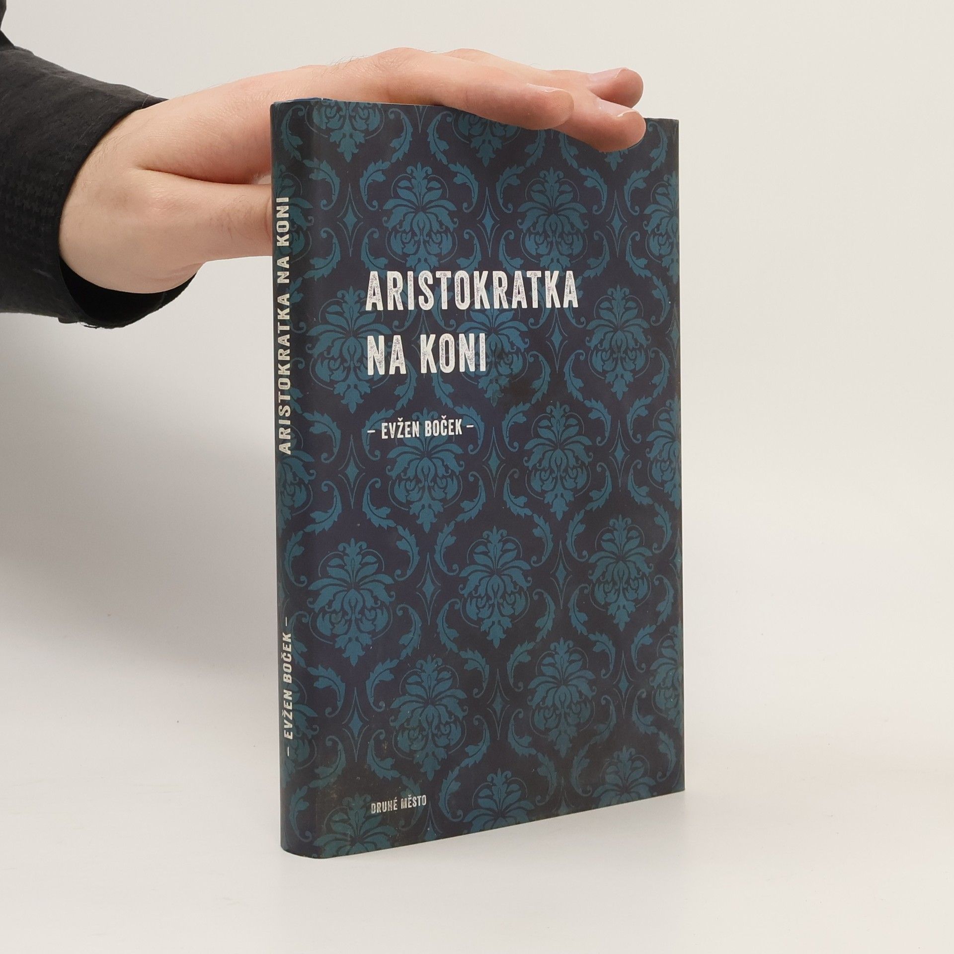 Evžen Boček Aristokratka na koni