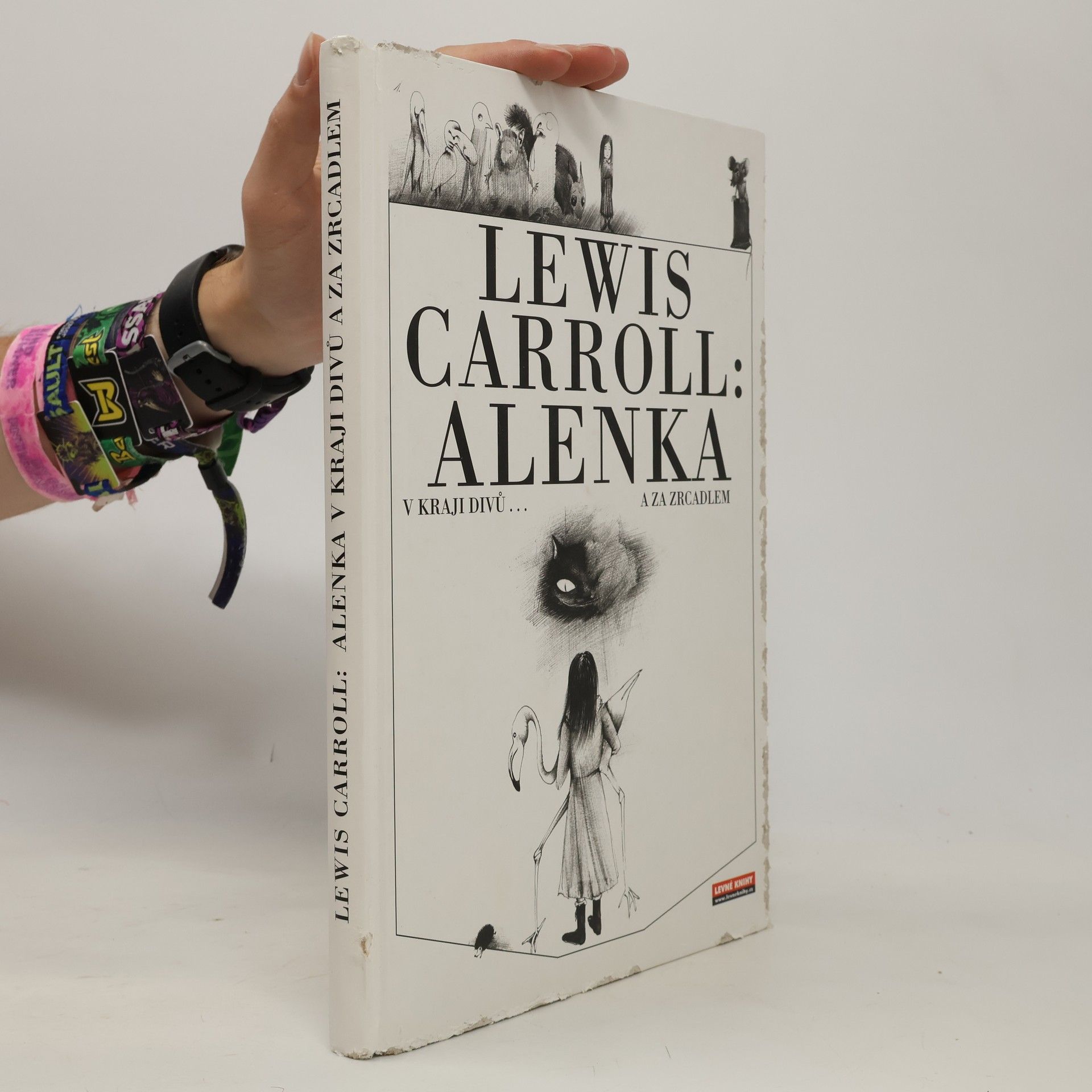 Lewis Carroll Alenka v kraji divů a za zrcadlem