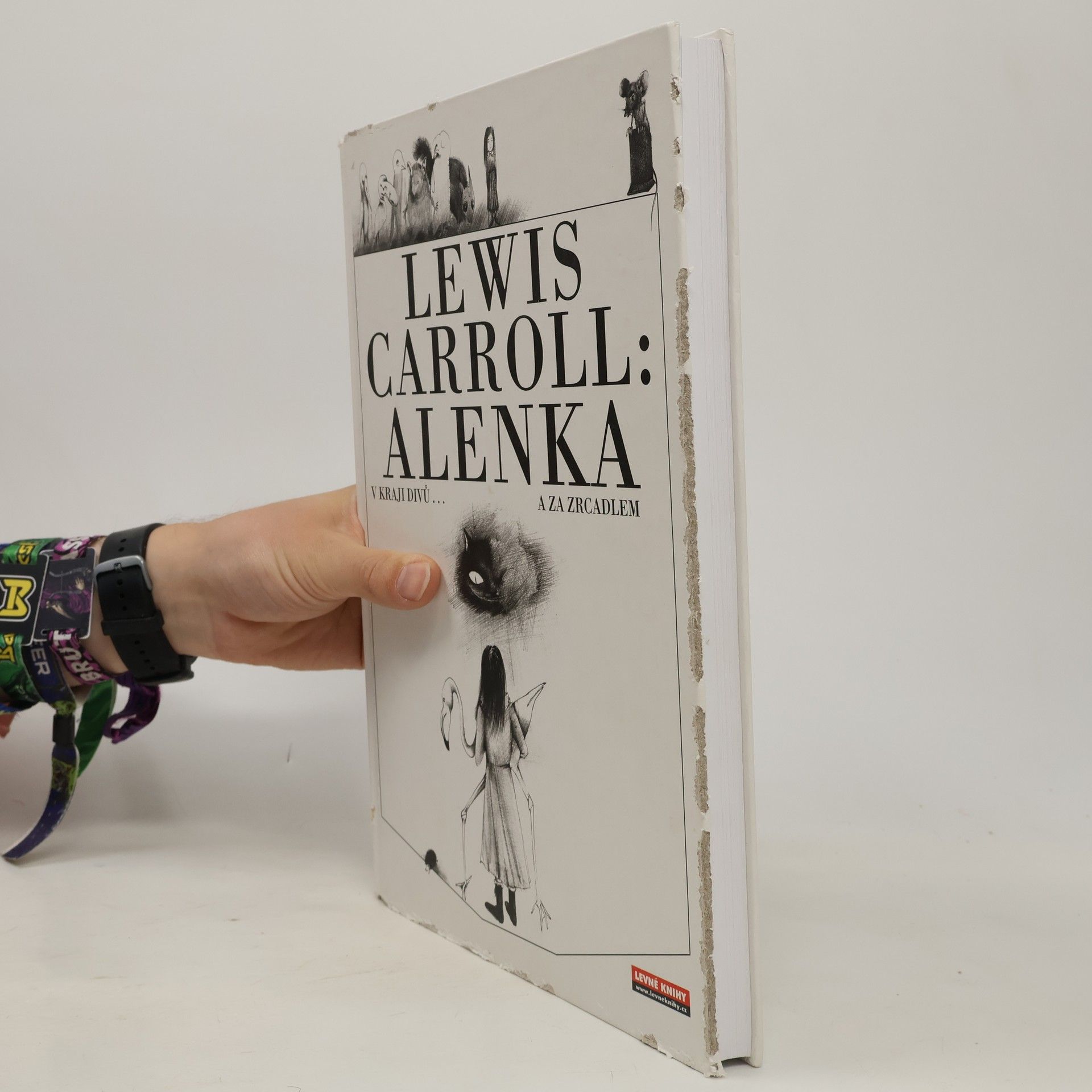 Lewis Carroll Alenka v kraji divů a za zrcadlem
