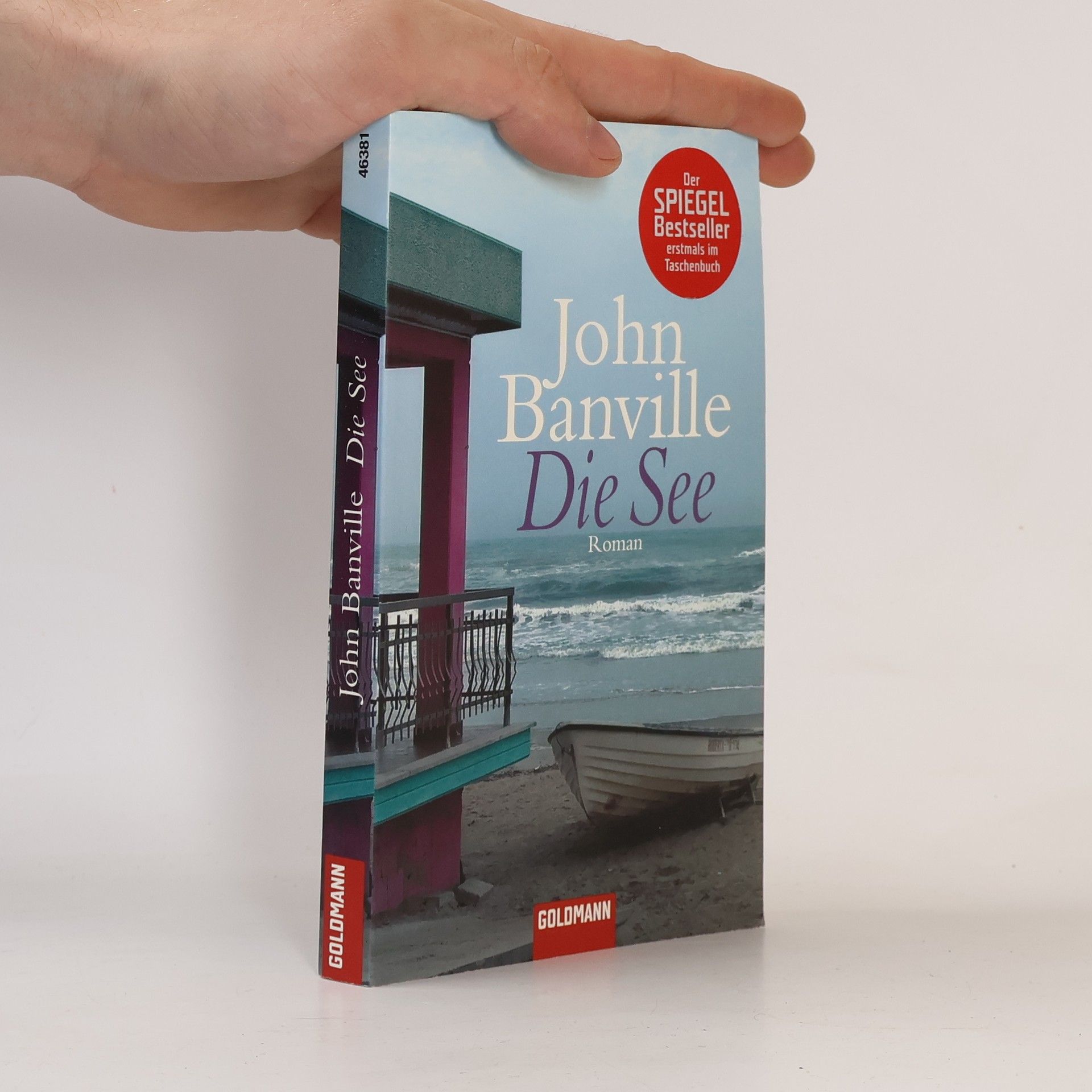 John Banville Die See
