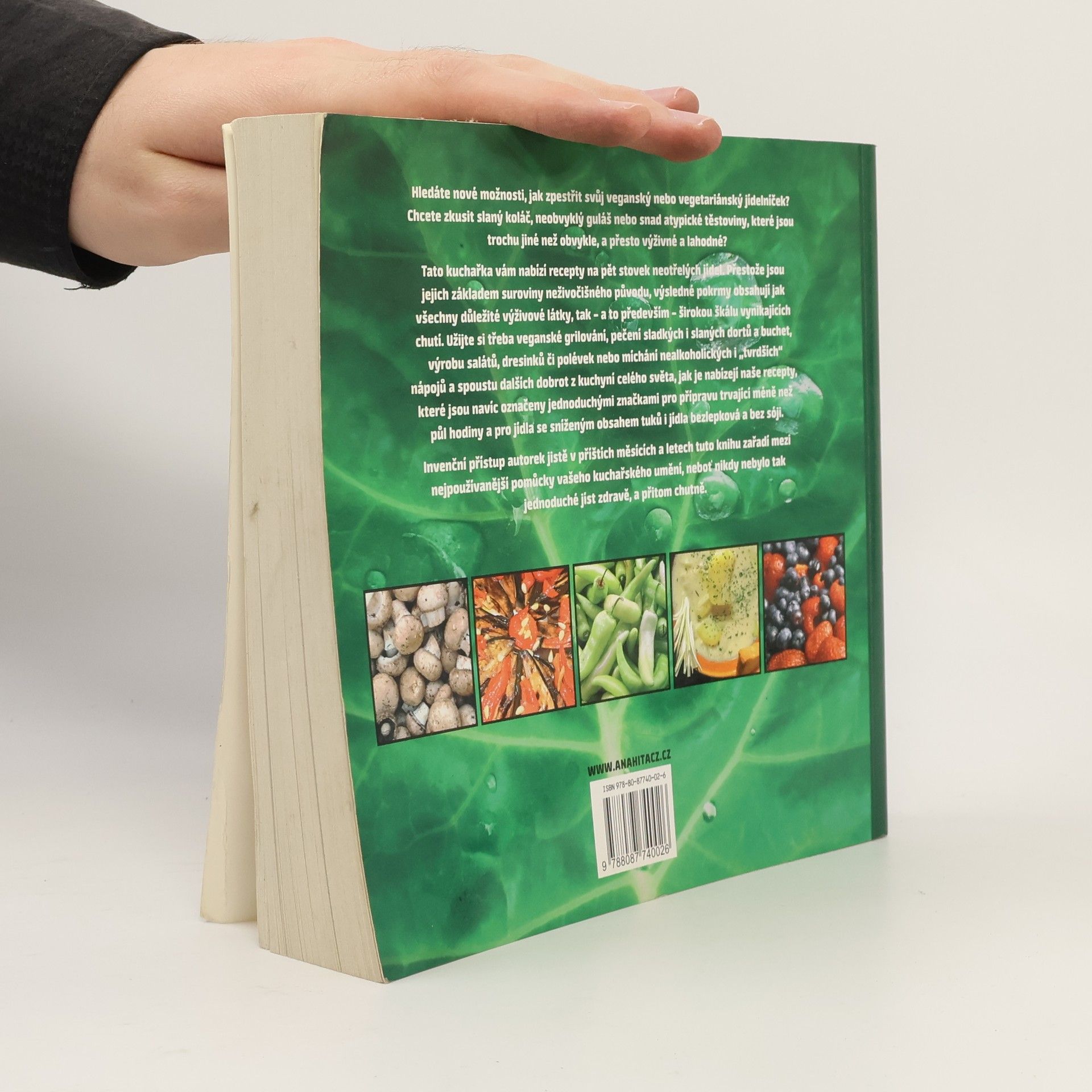 Celine Steen 500 veganských receptů. Ohromná paleta lahodných pokrmů od chilli a gulášů po koláče, nákypy a sušenky