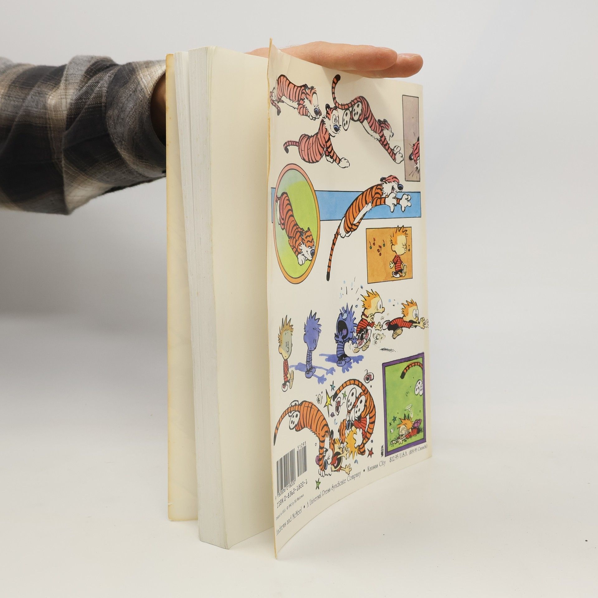 Bill Watterson II The Authoritative Calvin and Hobbes
