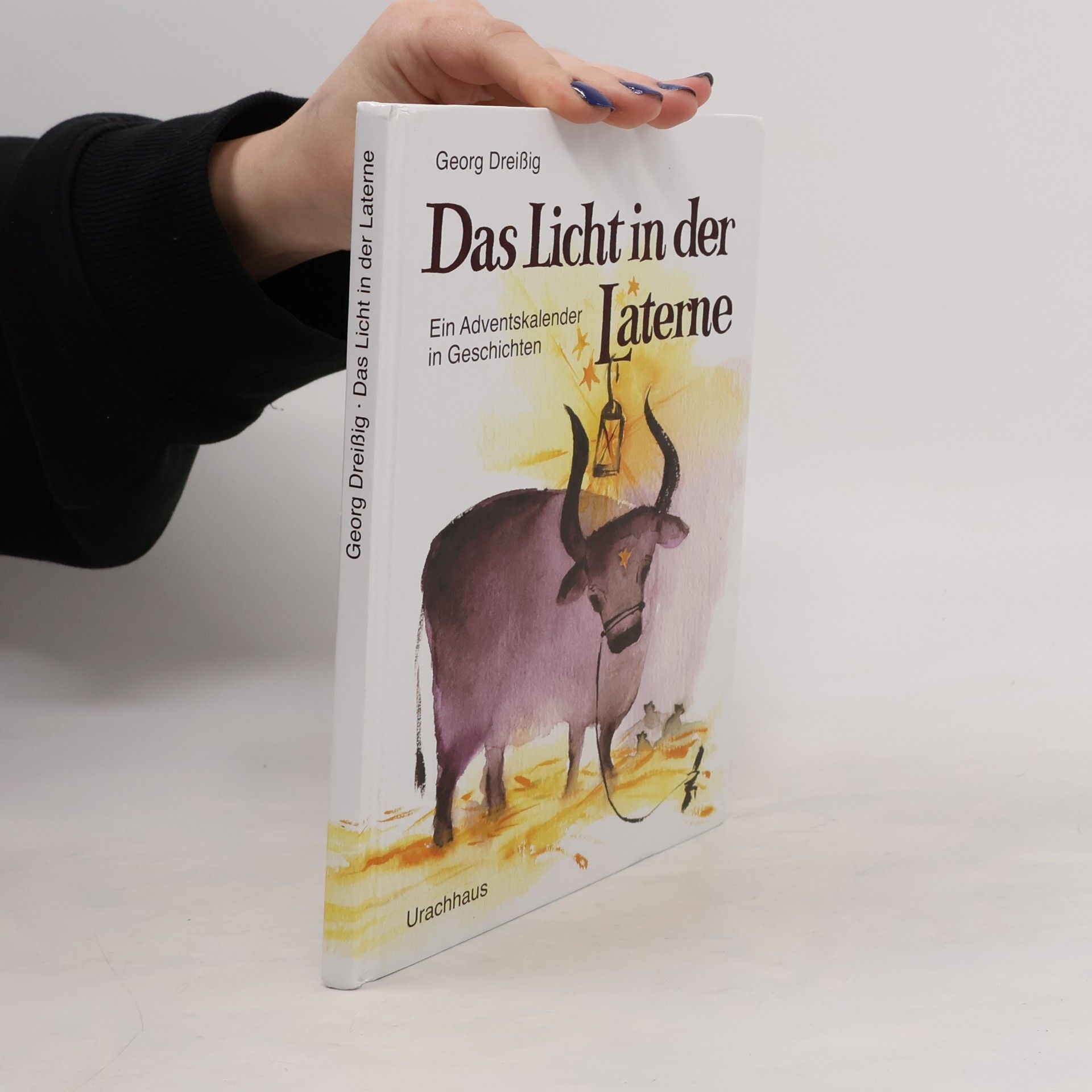 Georg Dreißig Das Licht in der Laterne