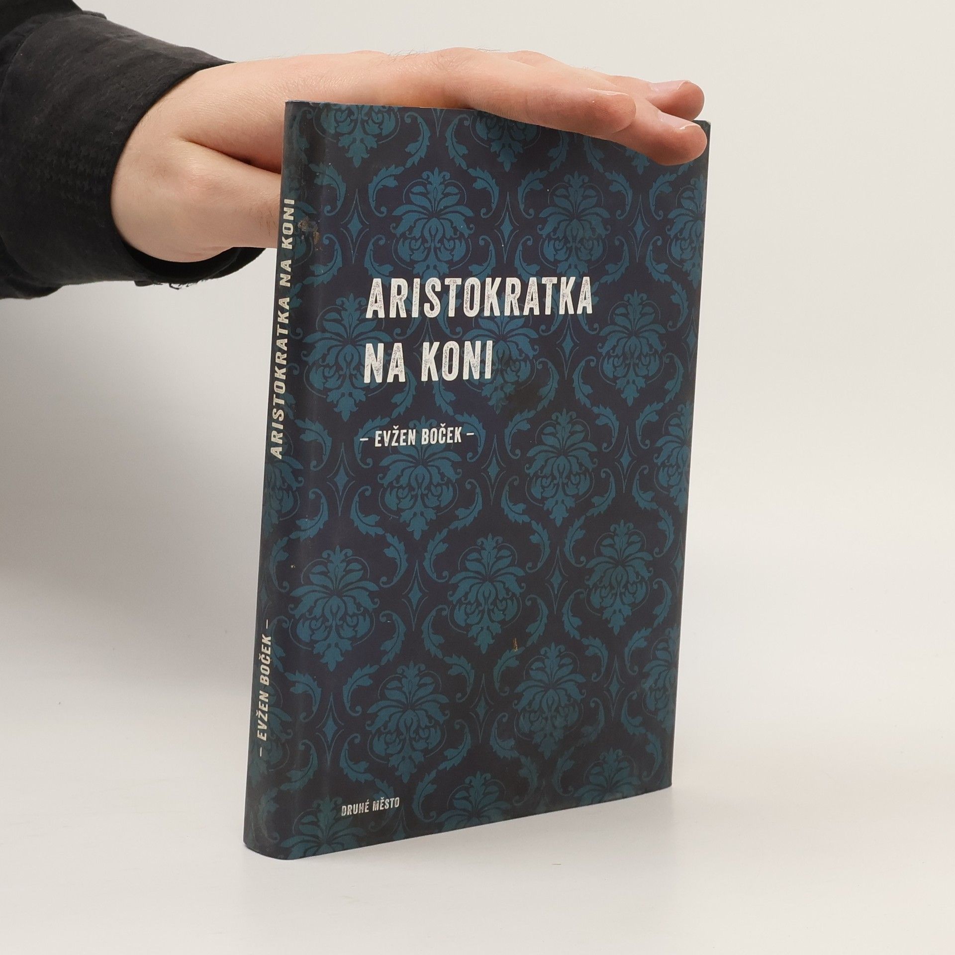 Evžen Boček Aristokratka na koni