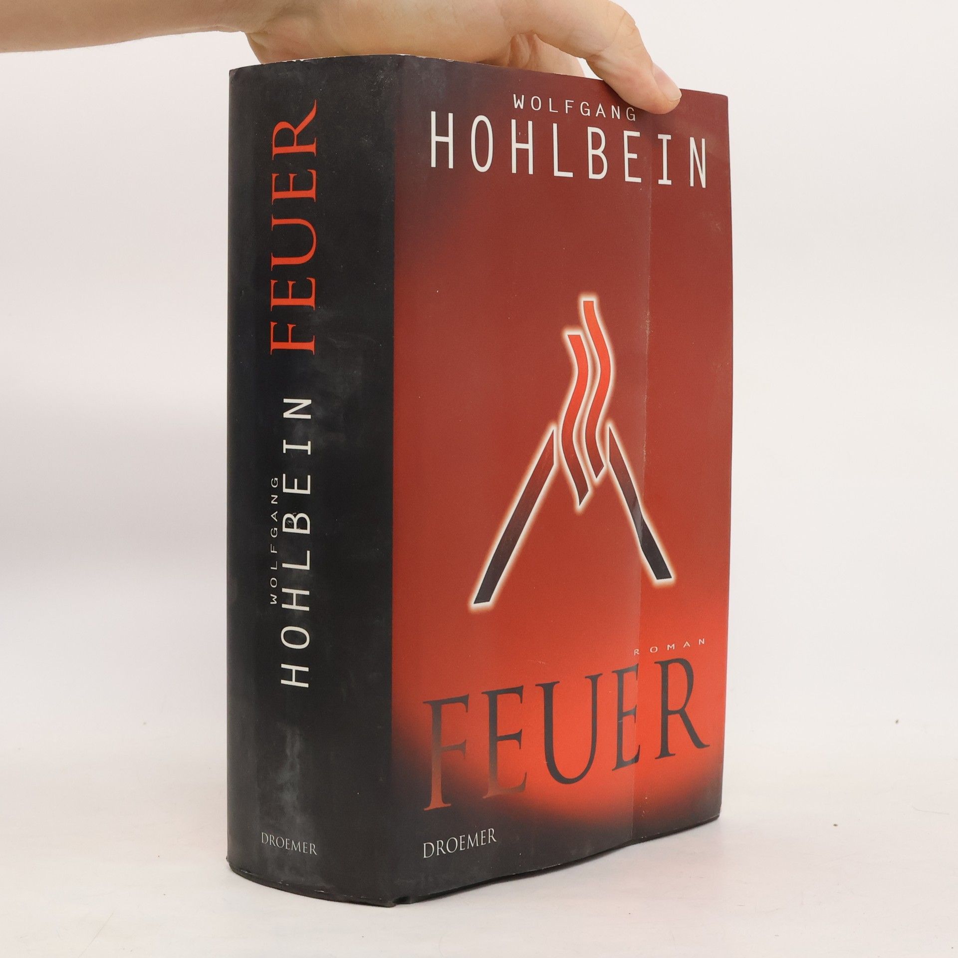 Wolfgang Hohlbein Feuer