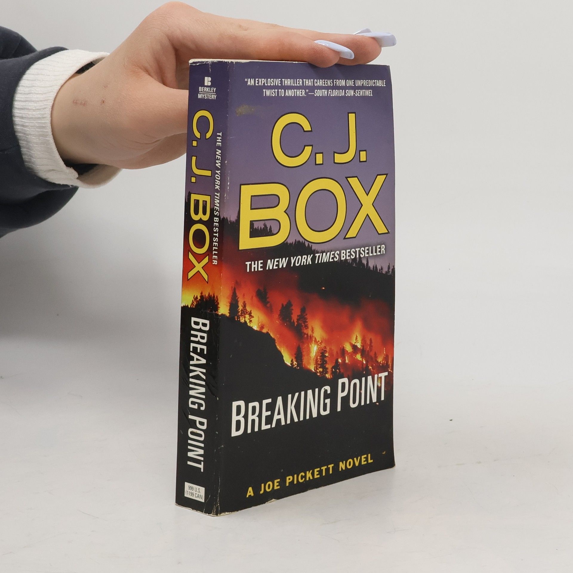 C. J. Box Joe Pickett: Breaking Point
