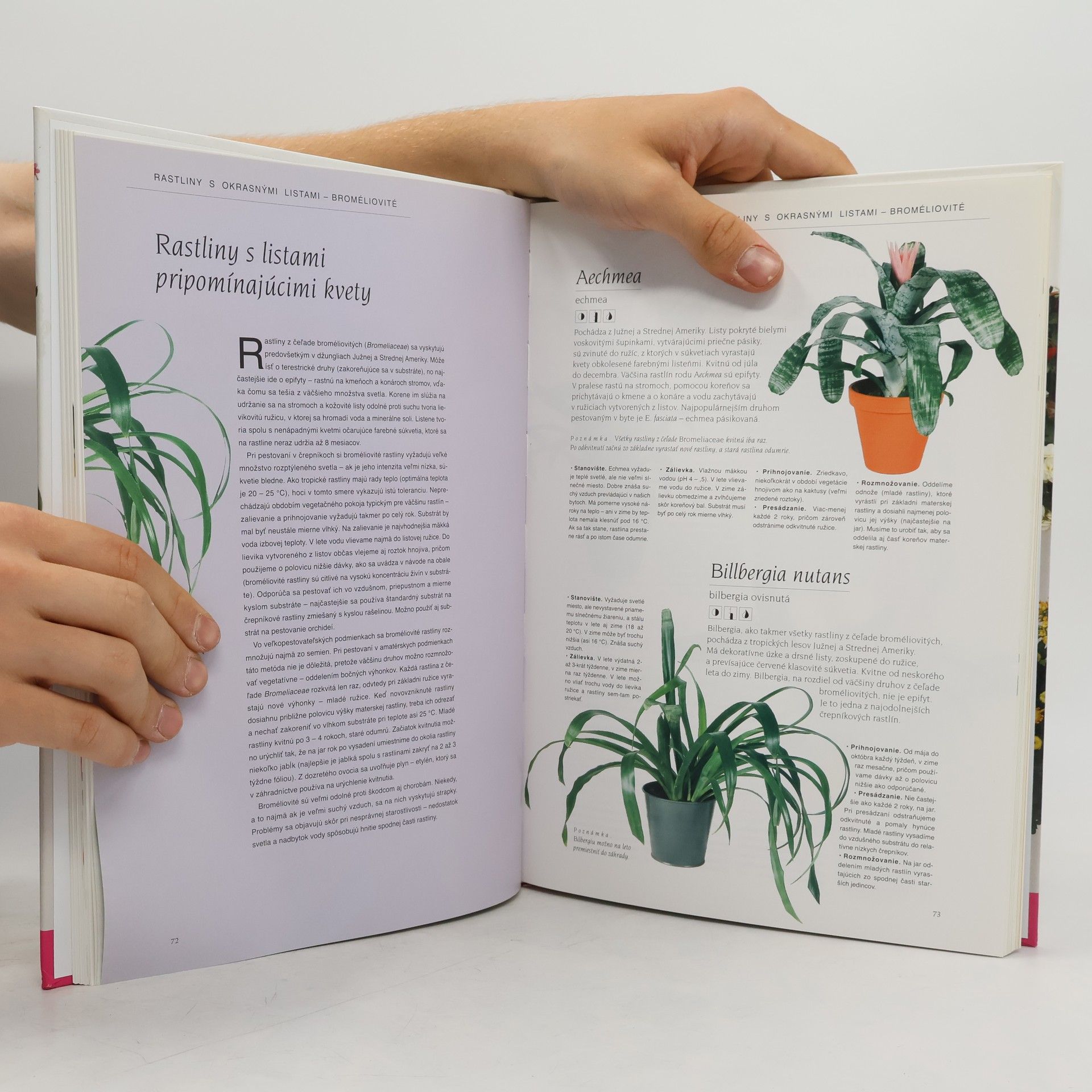Małgorzata Augustyn Veľká kniha izbových rastlín