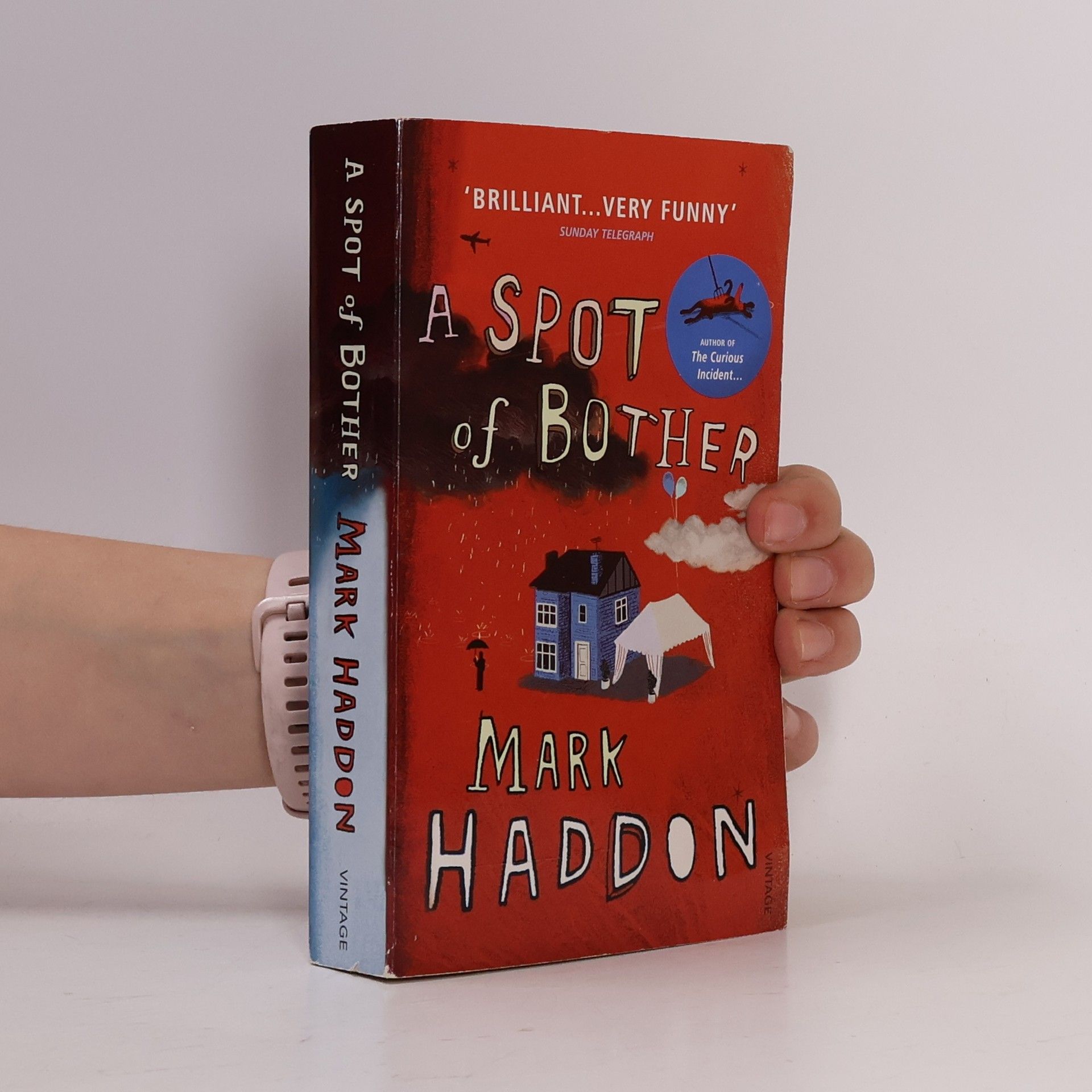 Mark Haddon A Spot of Bother
