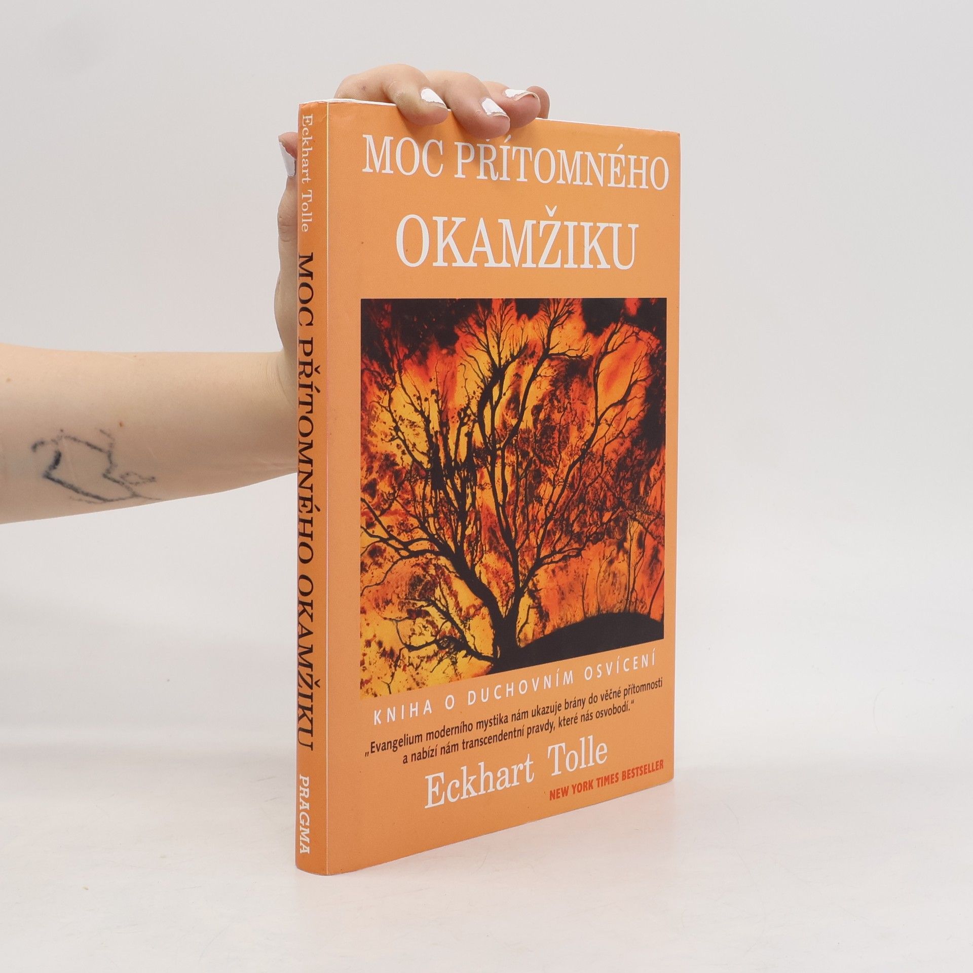 Eckhart Tolle Moc přítomného okamžiku
