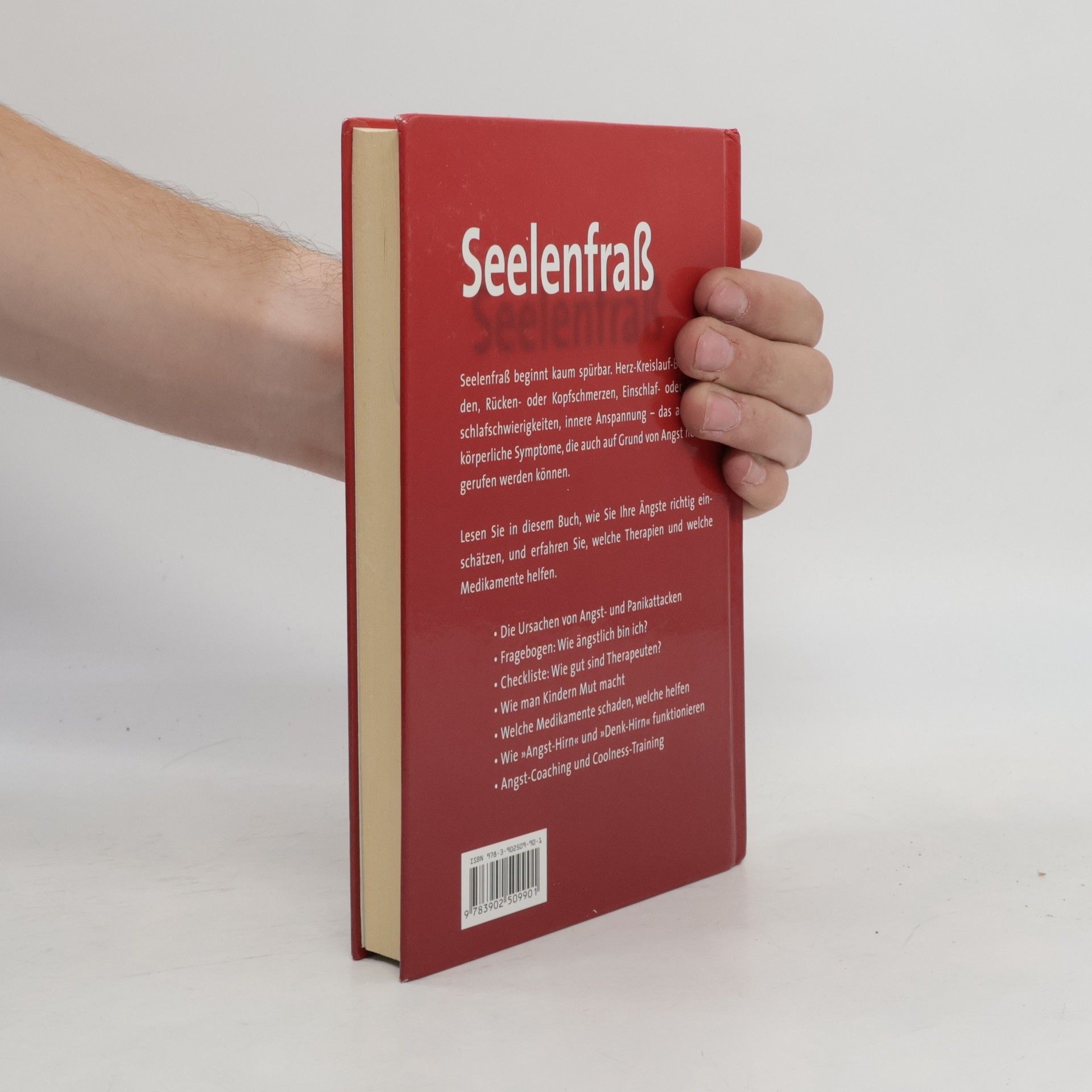 Ralf-Michael Schmitz Seelenfraß