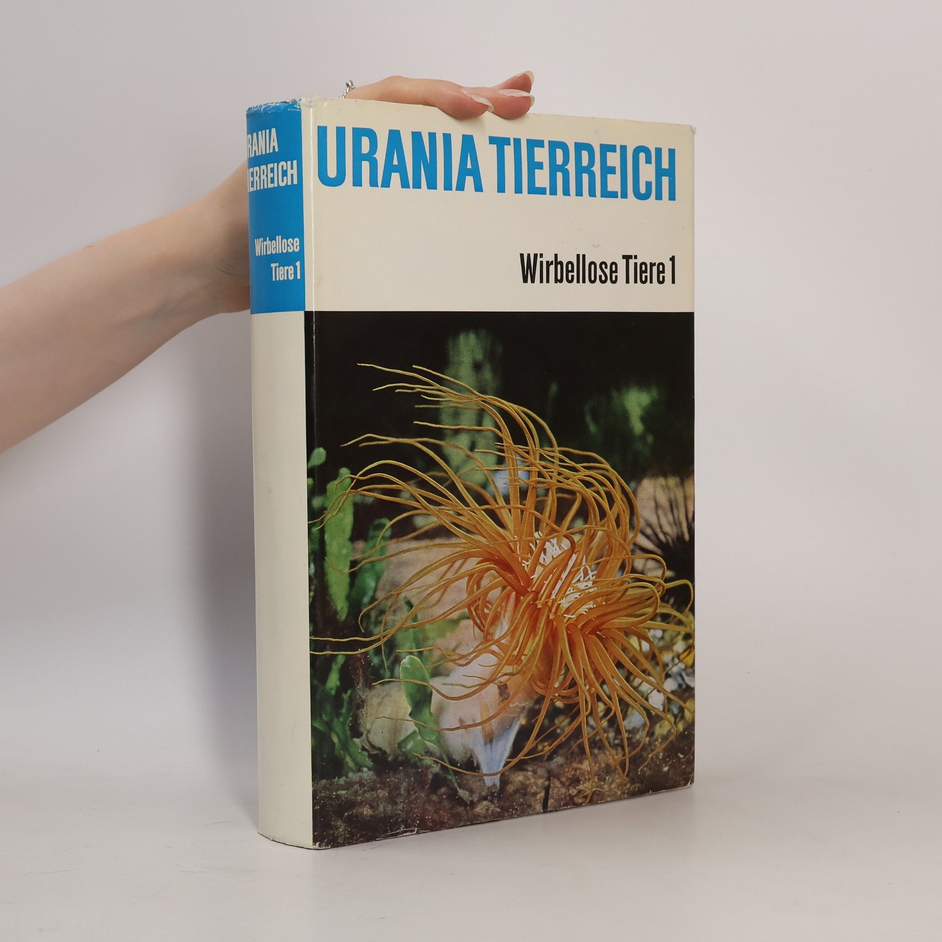 Autorenkollektiv Urania Tierreich. Wirbellose Tiere 1