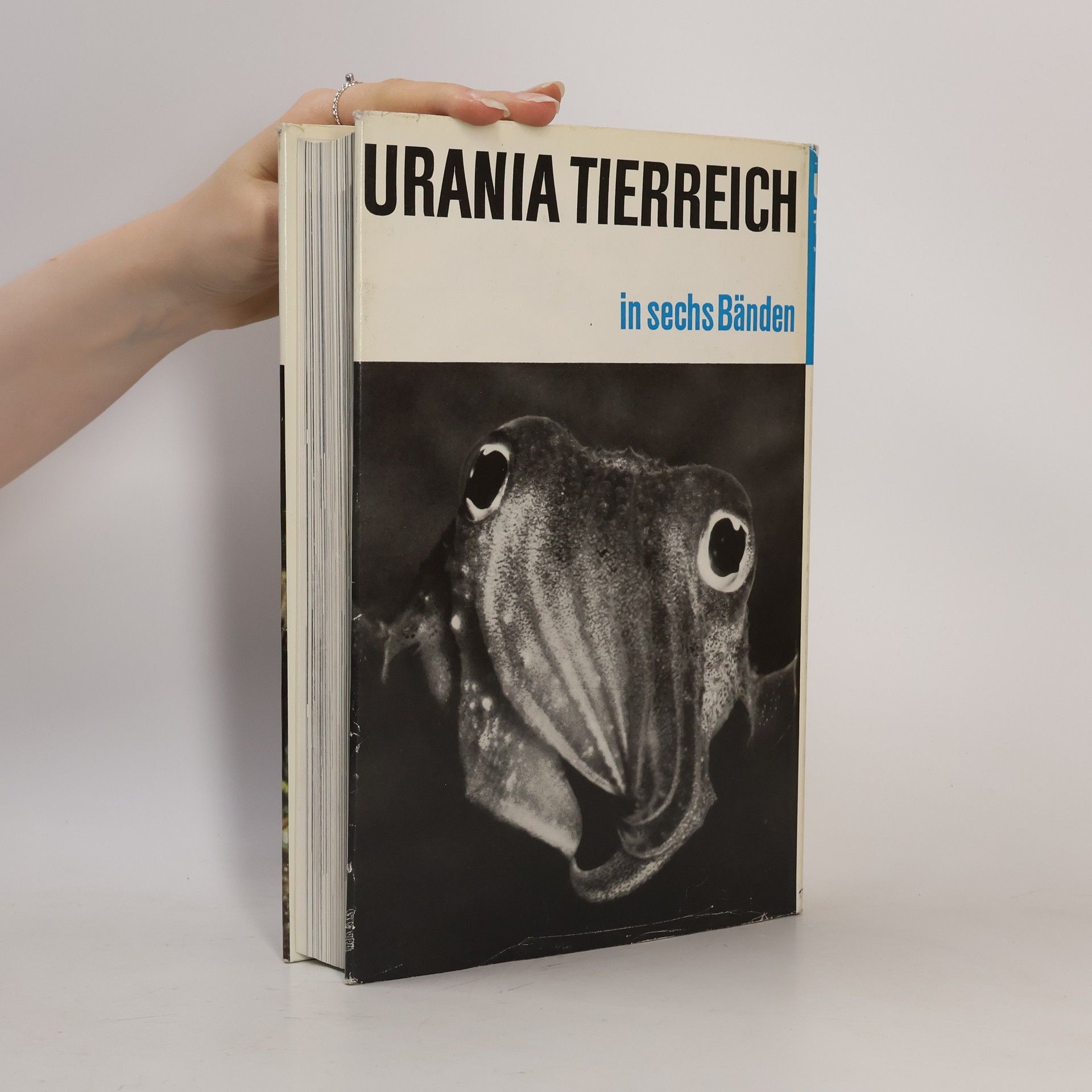 Autorenkollektiv Urania Tierreich. Wirbellose Tiere 1
