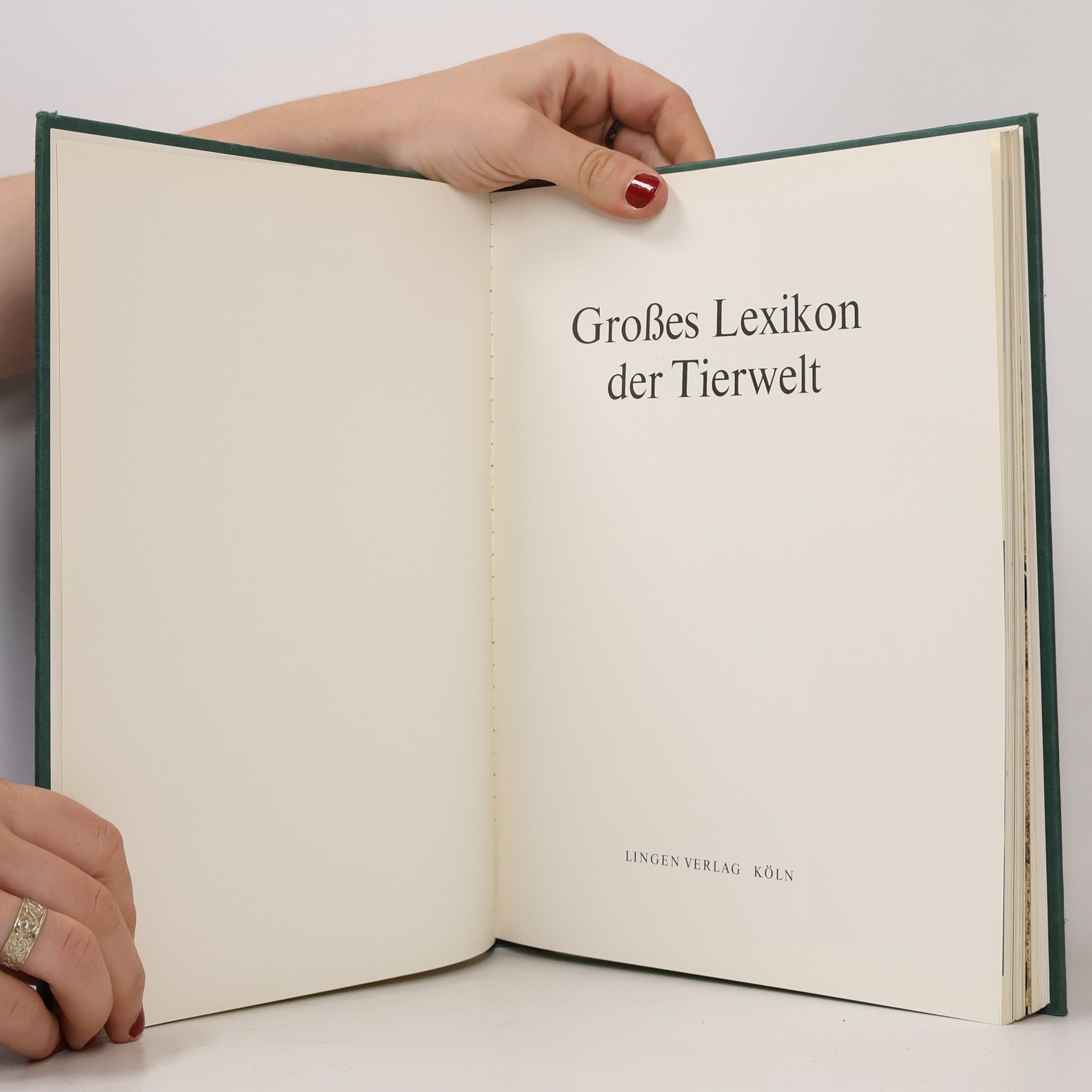Autorenkollektiv Großes Lexikon der Tierwelt 12. Wald-Z