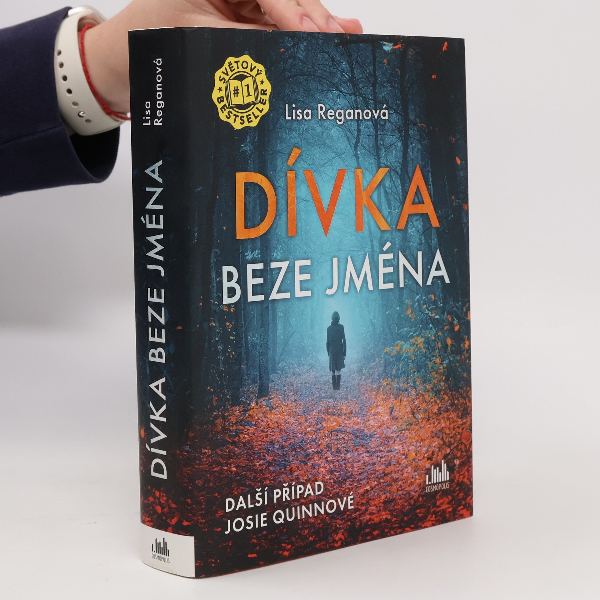 Lisa Regan Dívka beze jména: Další případ Josie Quinnové