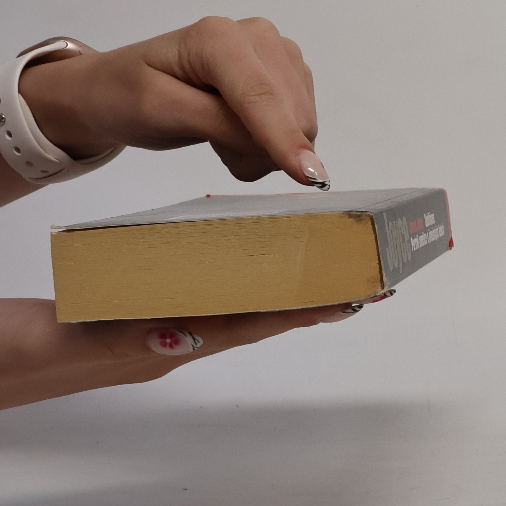 James Joyce Dubliňané. Portrét umělce v jinošských letech