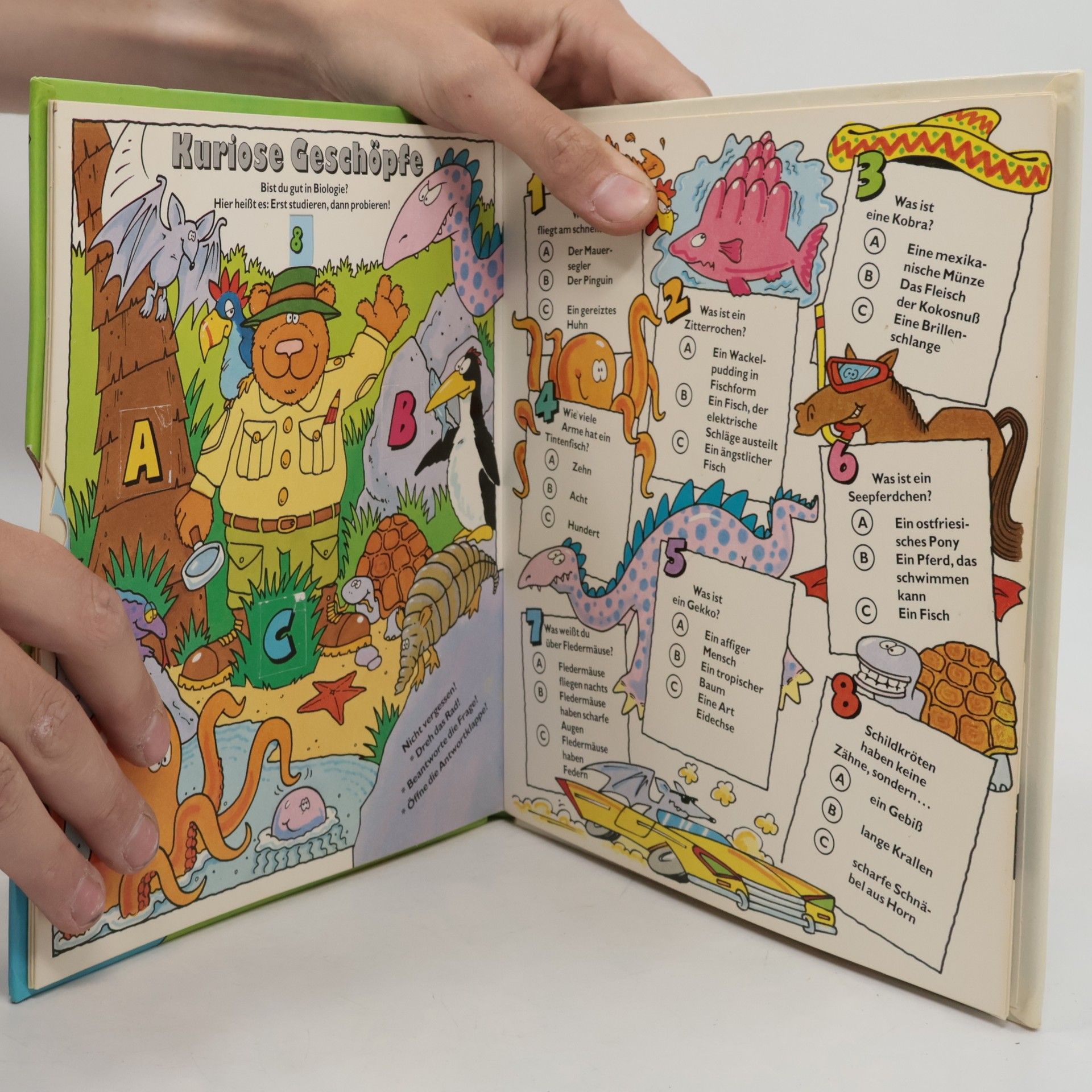 Das bärenstarke Quizbuch