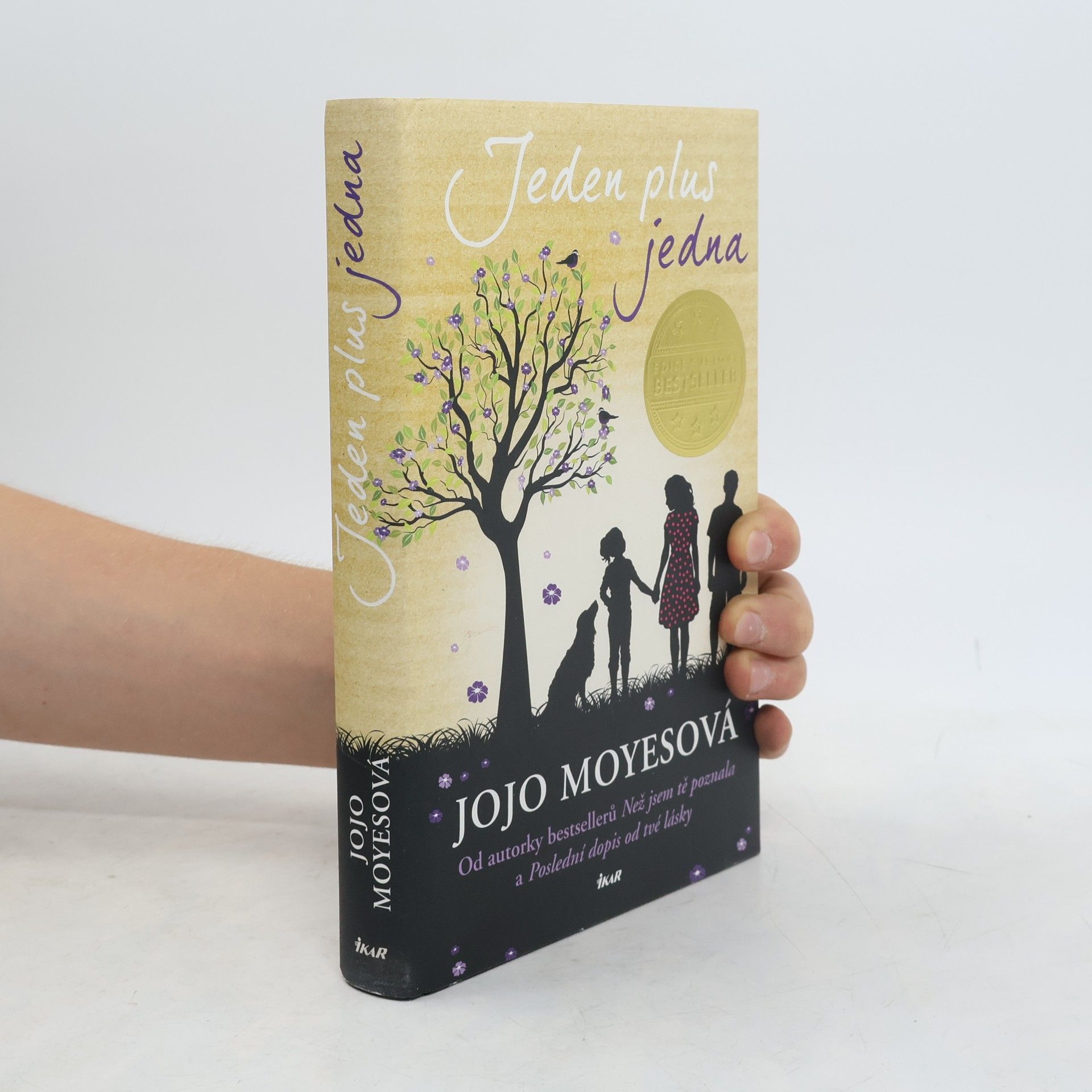 Jojo Moyes Jeden plus jedna