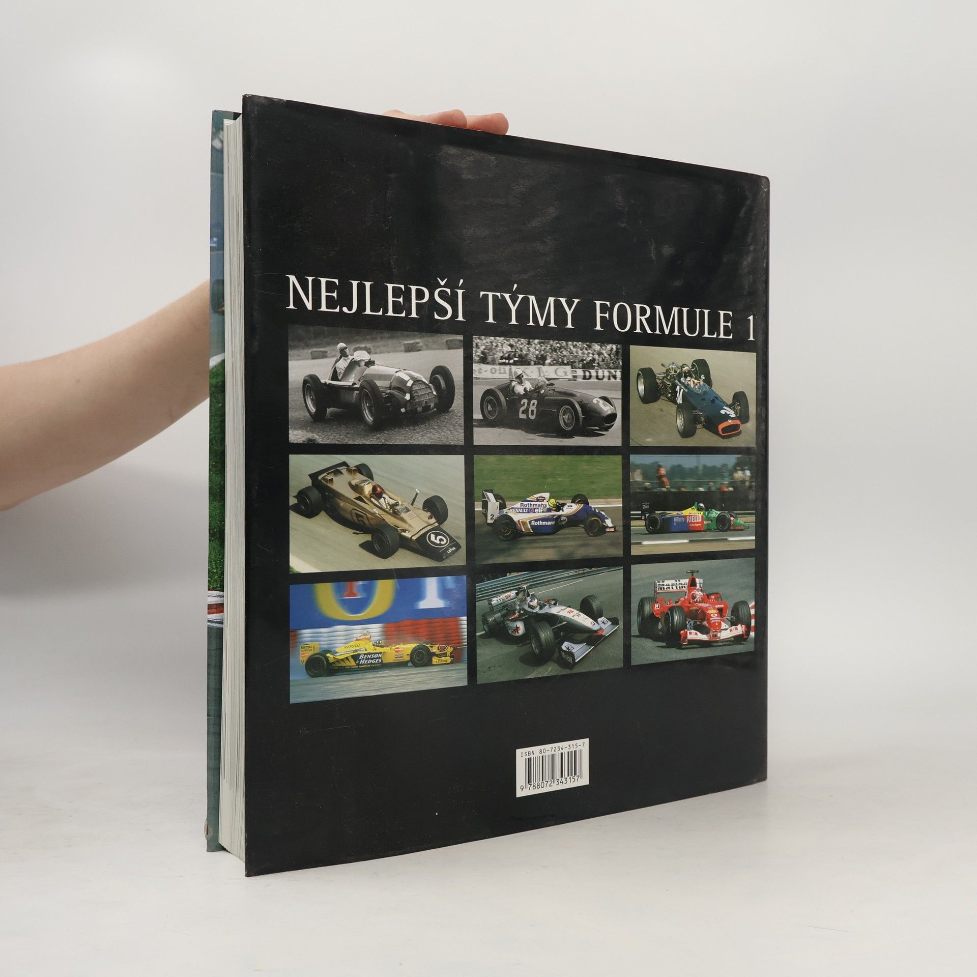 Paolo D'Alessio Nejlepší týmy formule 1