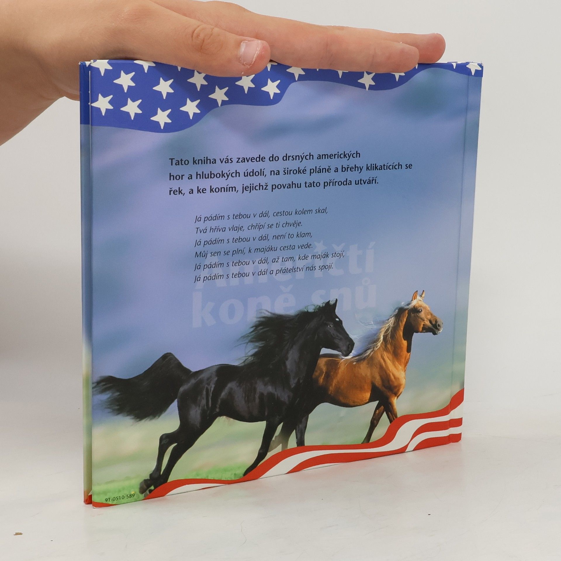 Autores varios Američtí koně snů