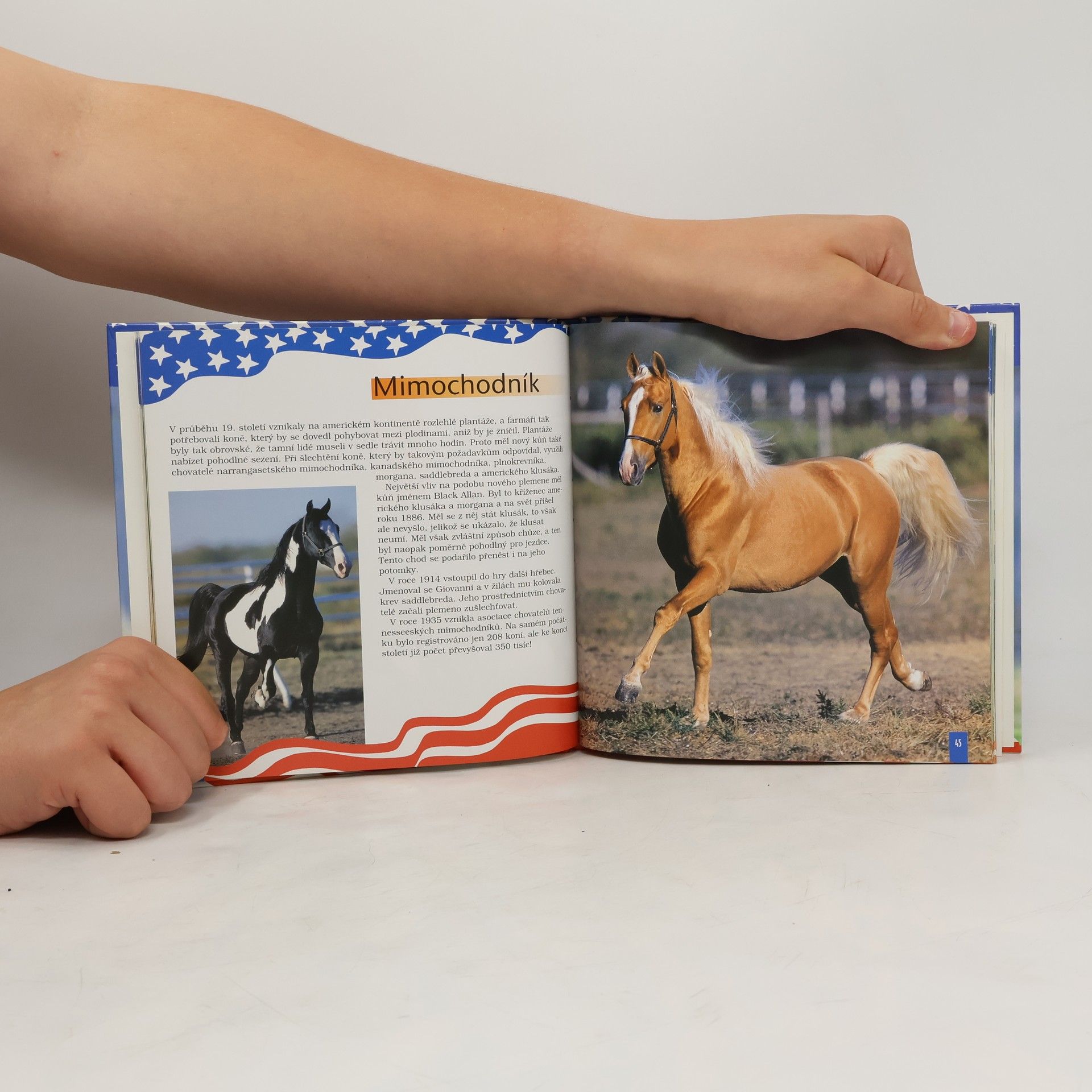 Autores varios Američtí koně snů