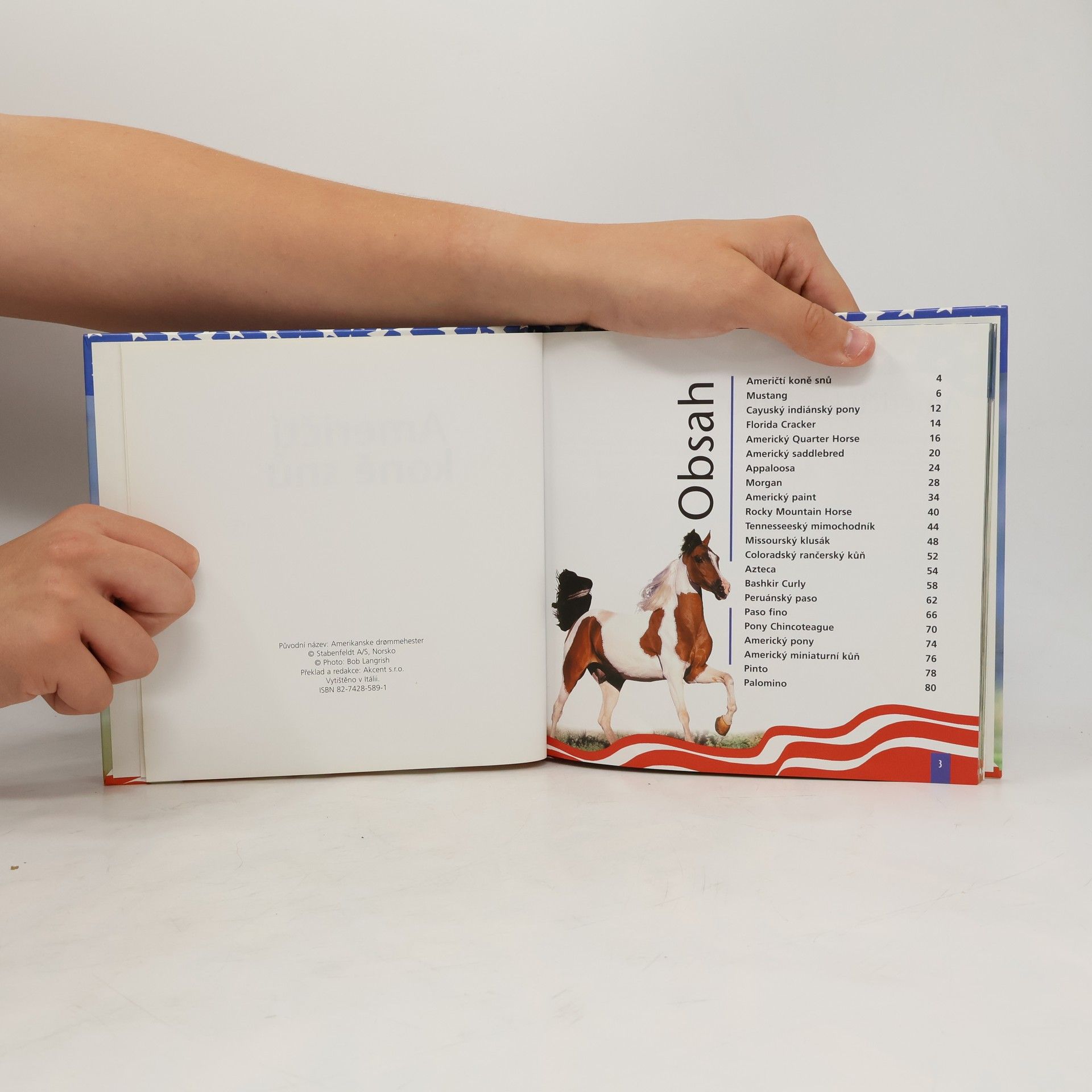 Autores varios Američtí koně snů