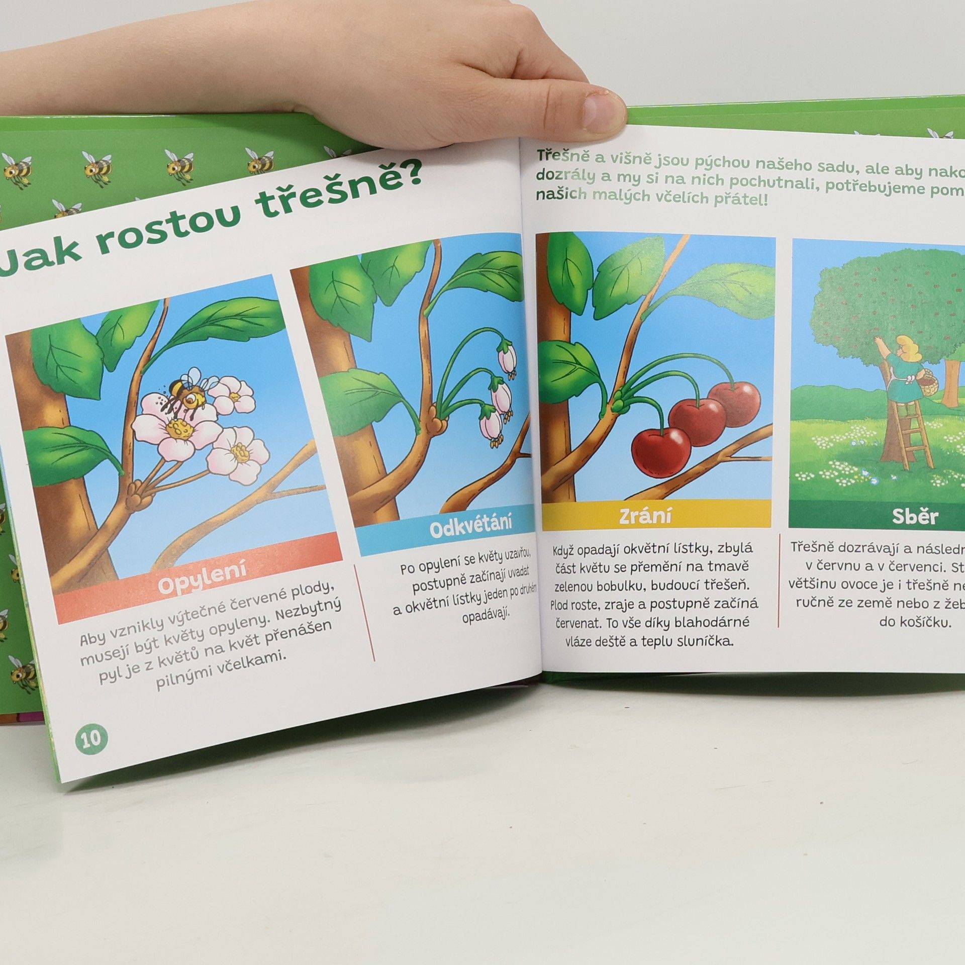 Kolektiv autorů Audio příběhy z naší farmy. Ovocné stromy