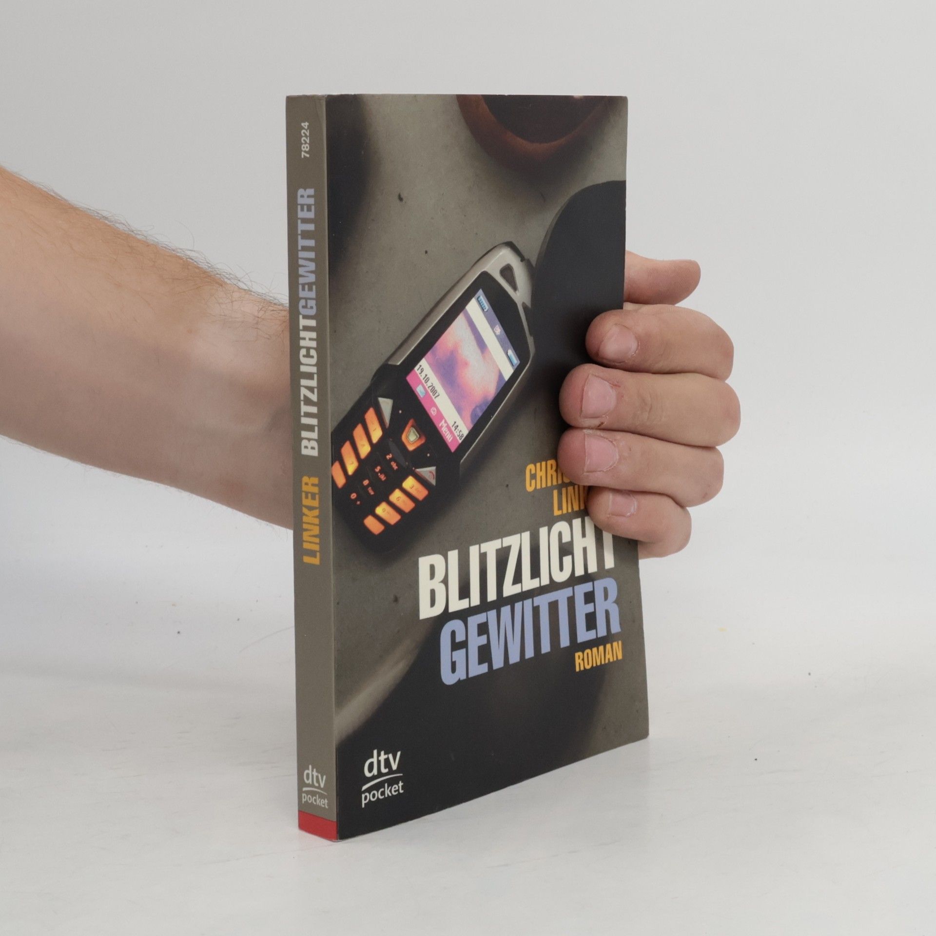 Christian Linker Blitzlichtgewitter : Roman