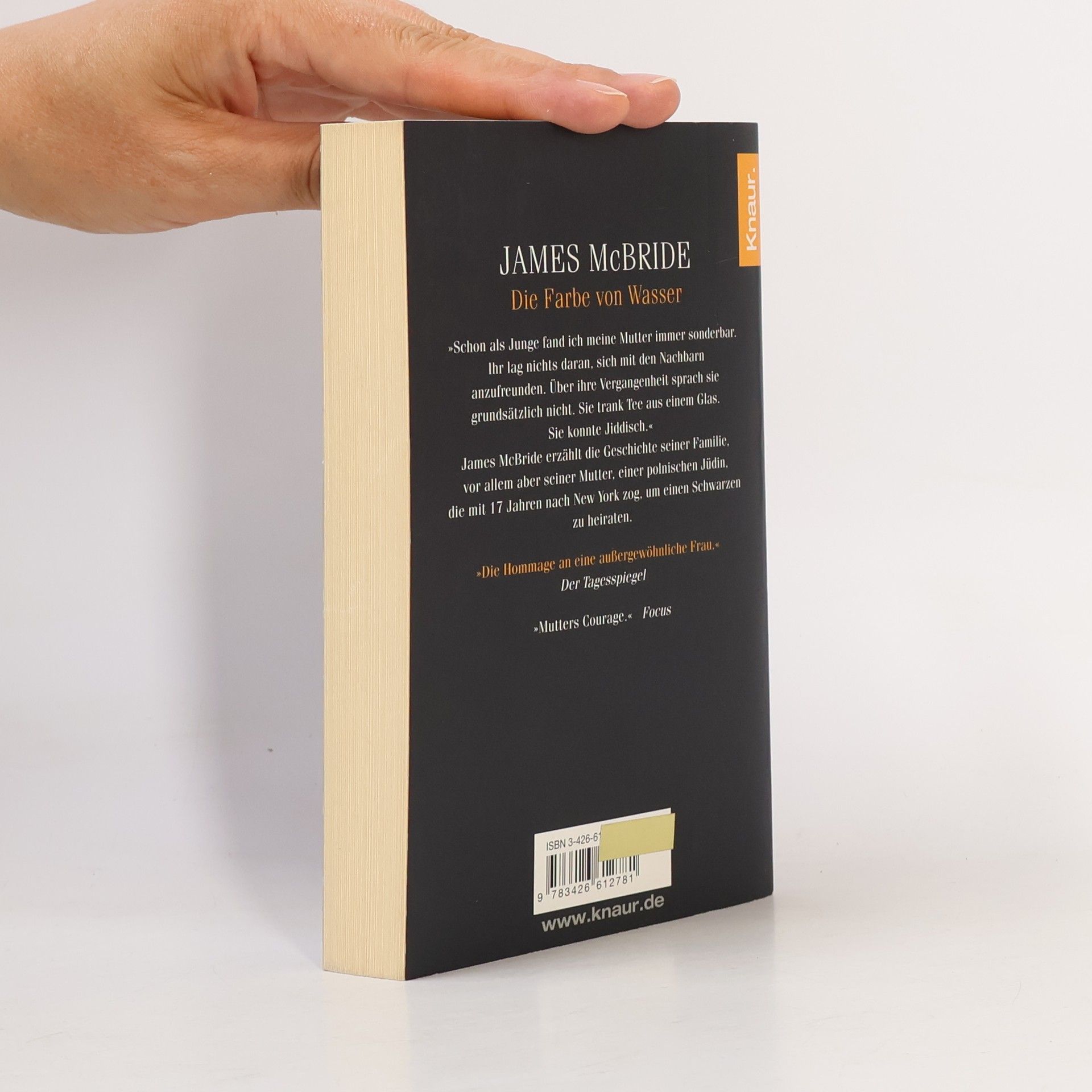 James McBride Die Farbe von Wasser
