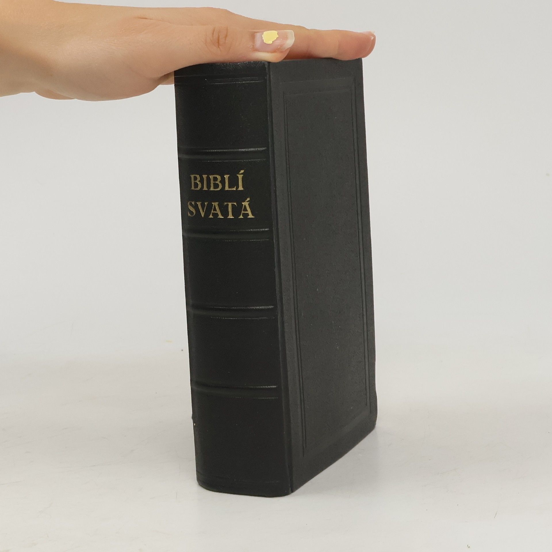 Kolektiv autorů Biblí svatá aneb Všecka svatá písma Starého i Nového zákona