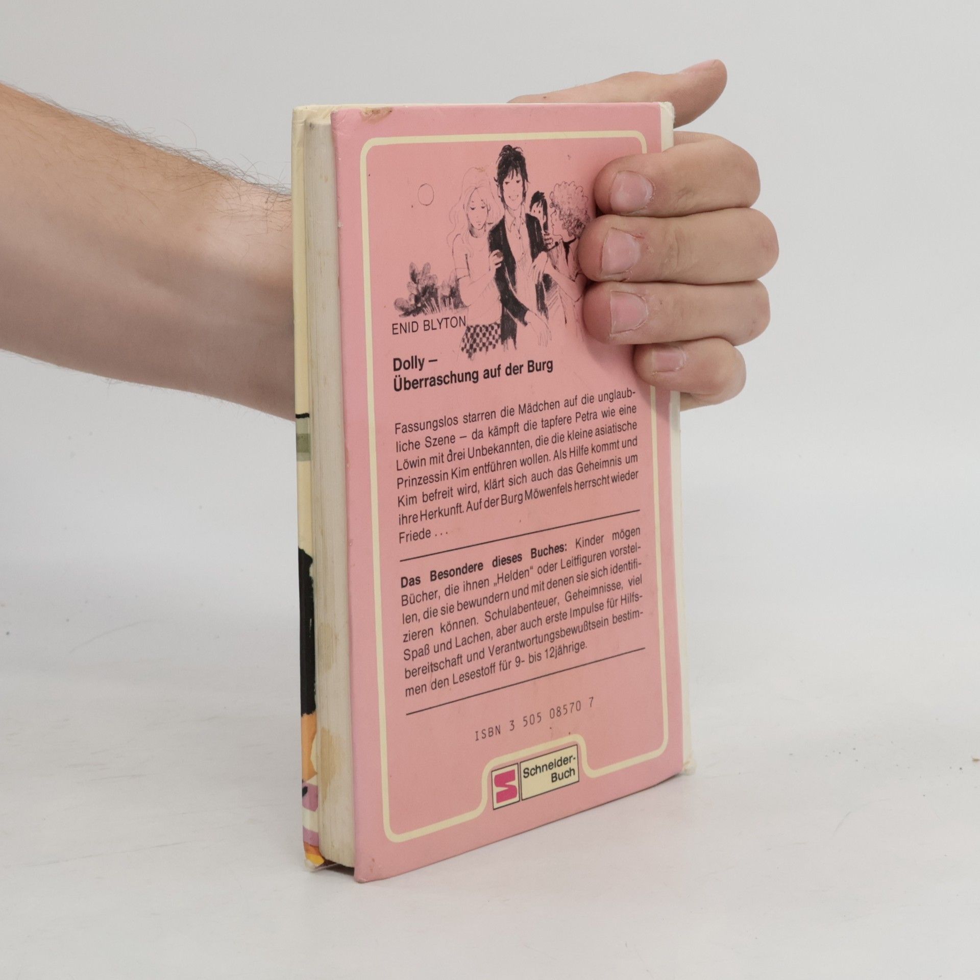 Enid Blyton Dolly 13. Überraschung auf der Burg