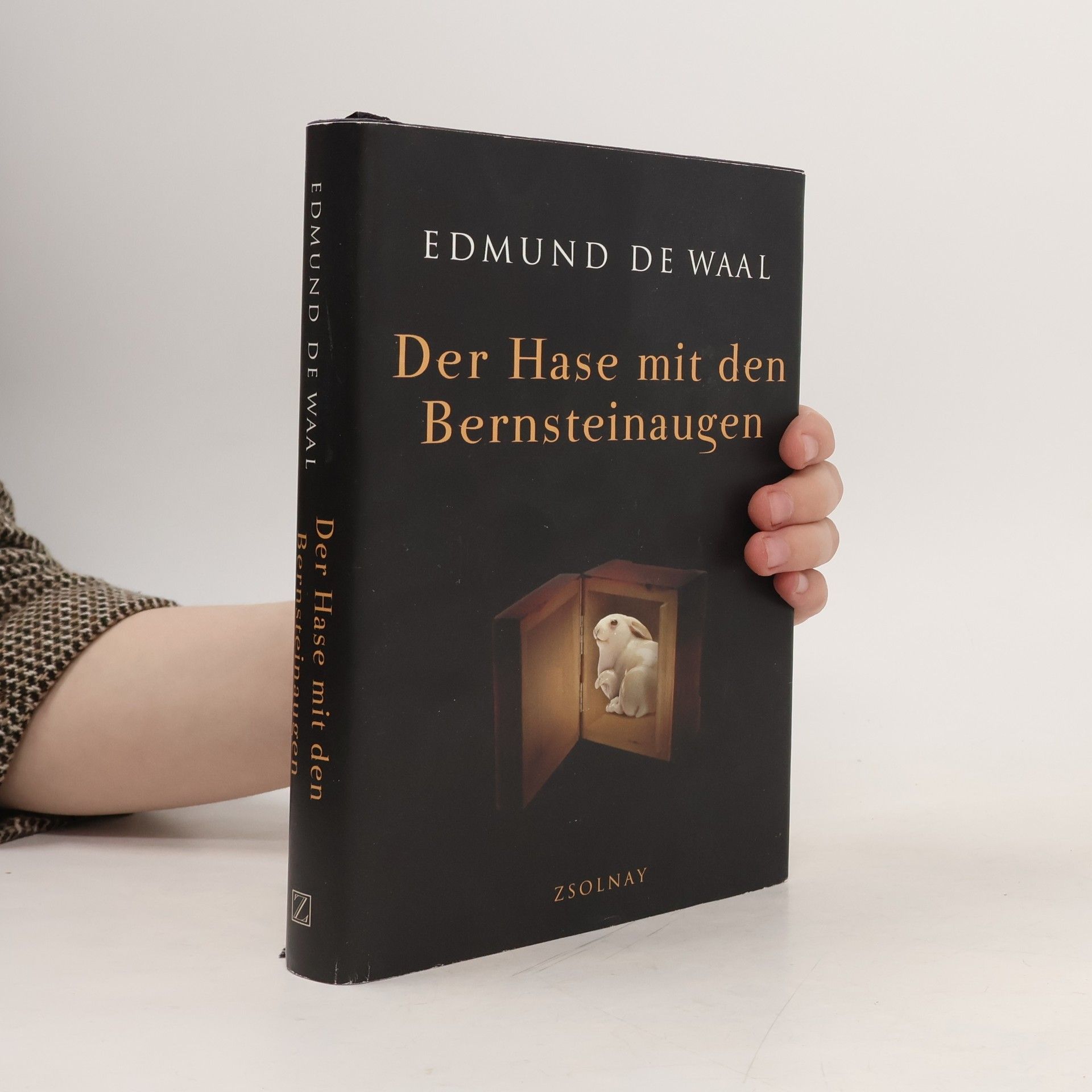 Edmund de Waal Der Hase mit den Bernteinaugen