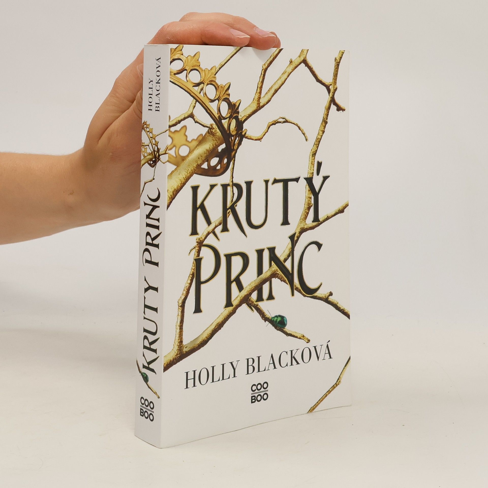 Holly Black Krutý princ