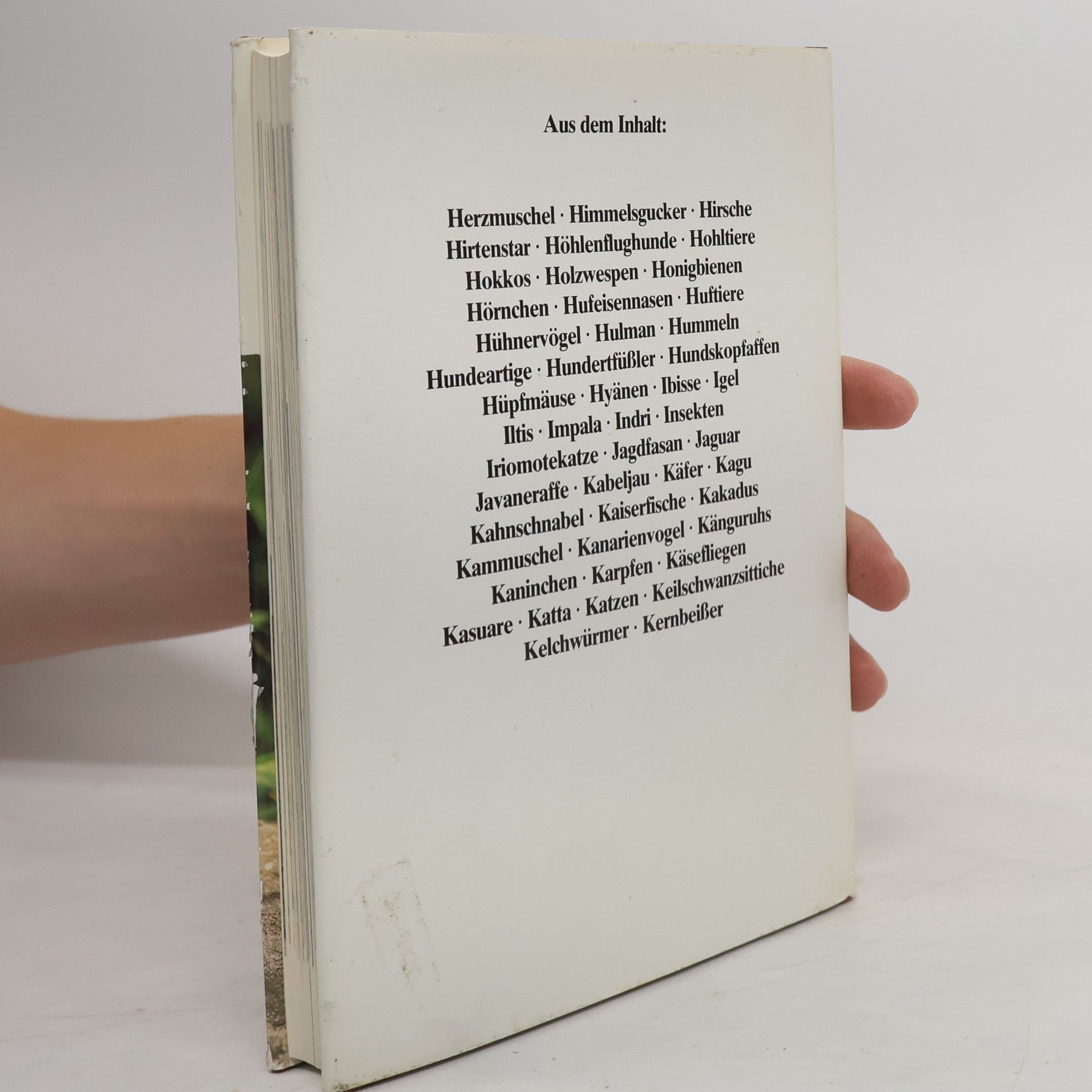 Autorenkollektiv Das moderne Tierlexikon 5 Herk-Kle