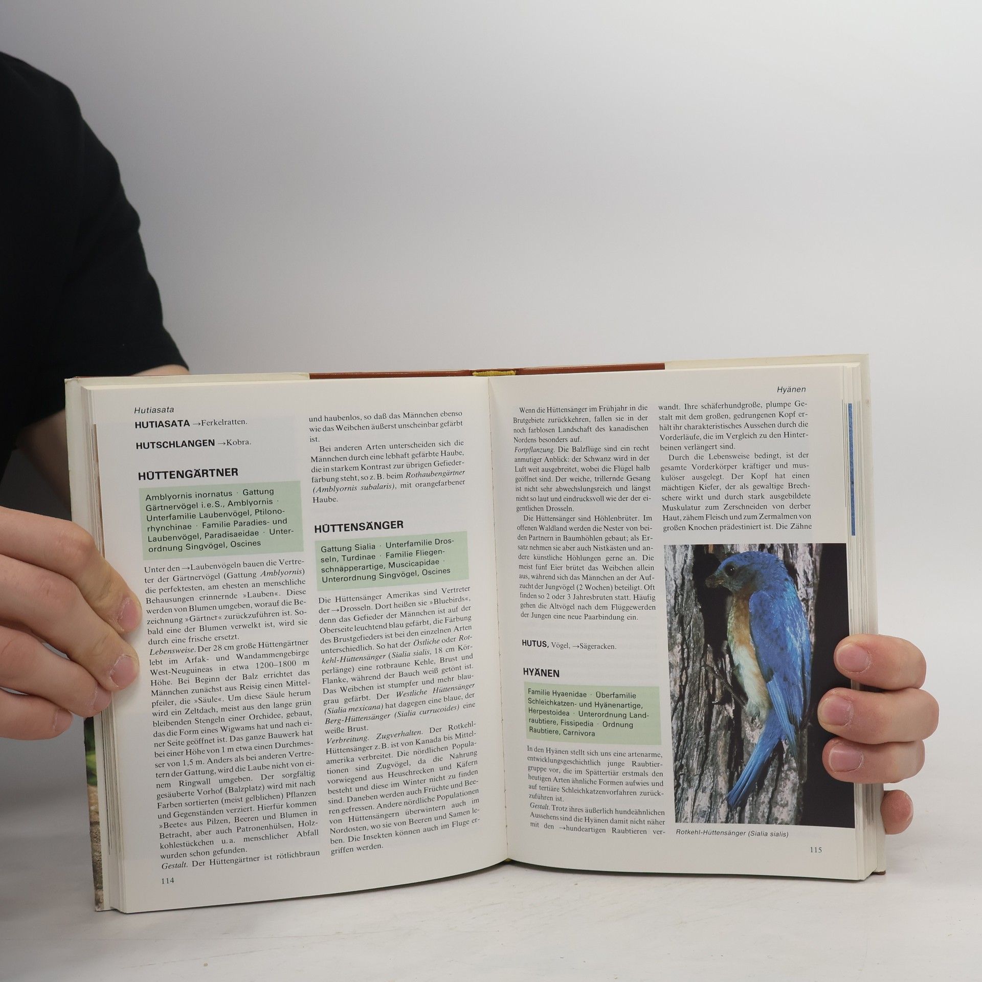 Autorenkollektiv Das moderne Tierlexikon 5 Herk-Kle