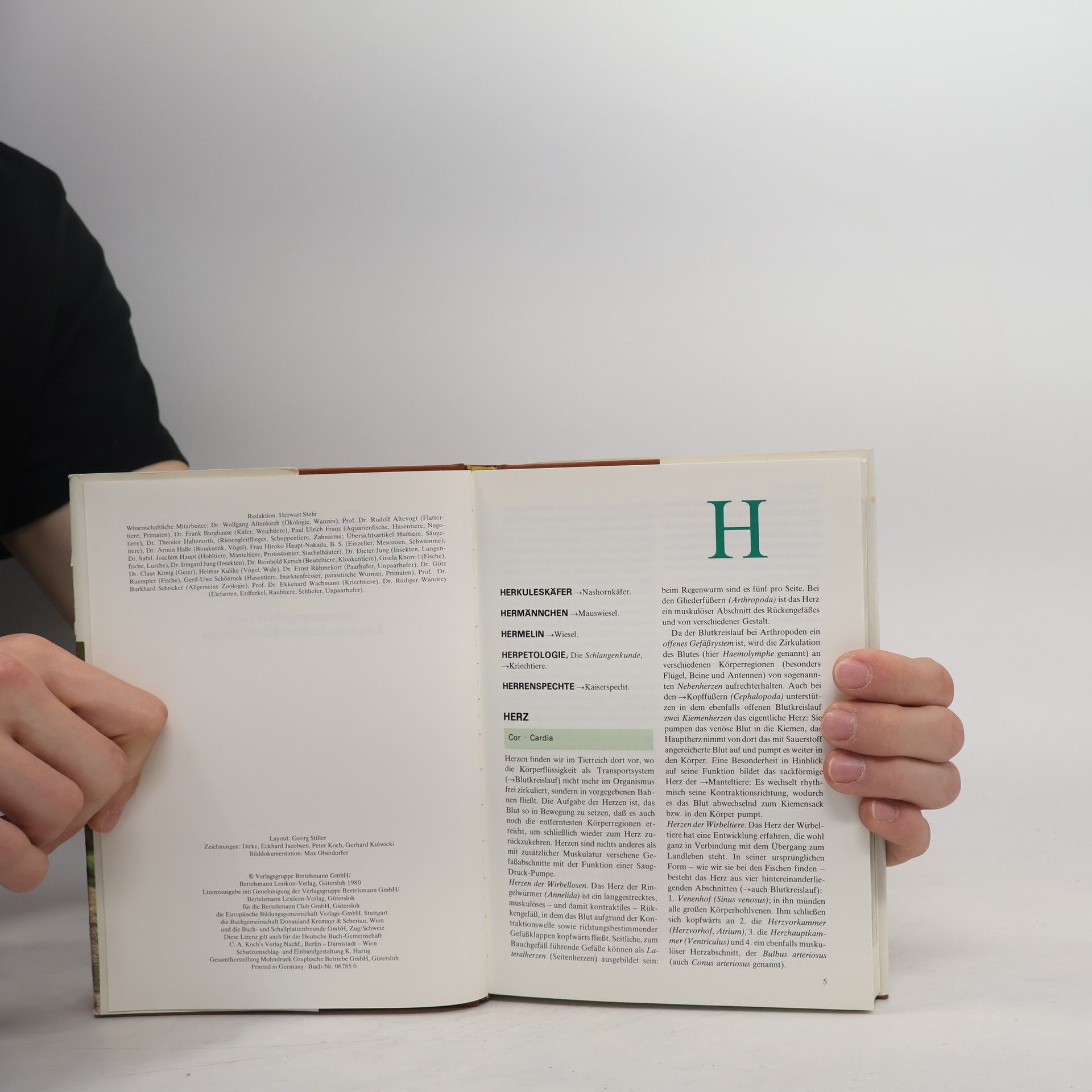 Autorenkollektiv Das moderne Tierlexikon 5 Herk-Kle