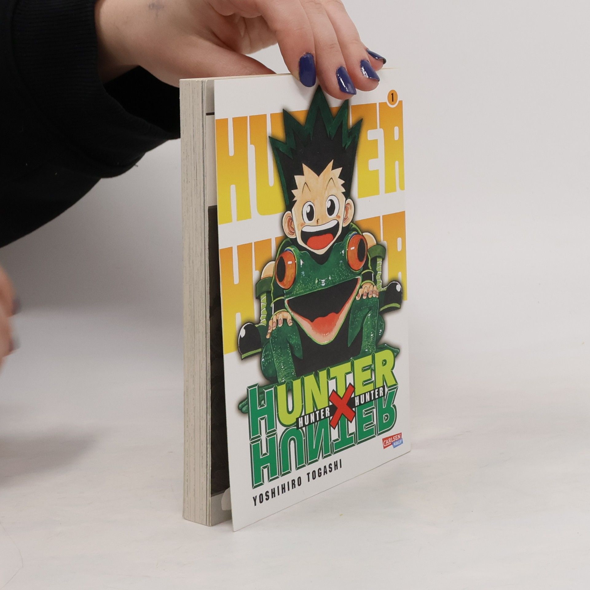 Yoshihiro Togashi Hunter x hunter 1