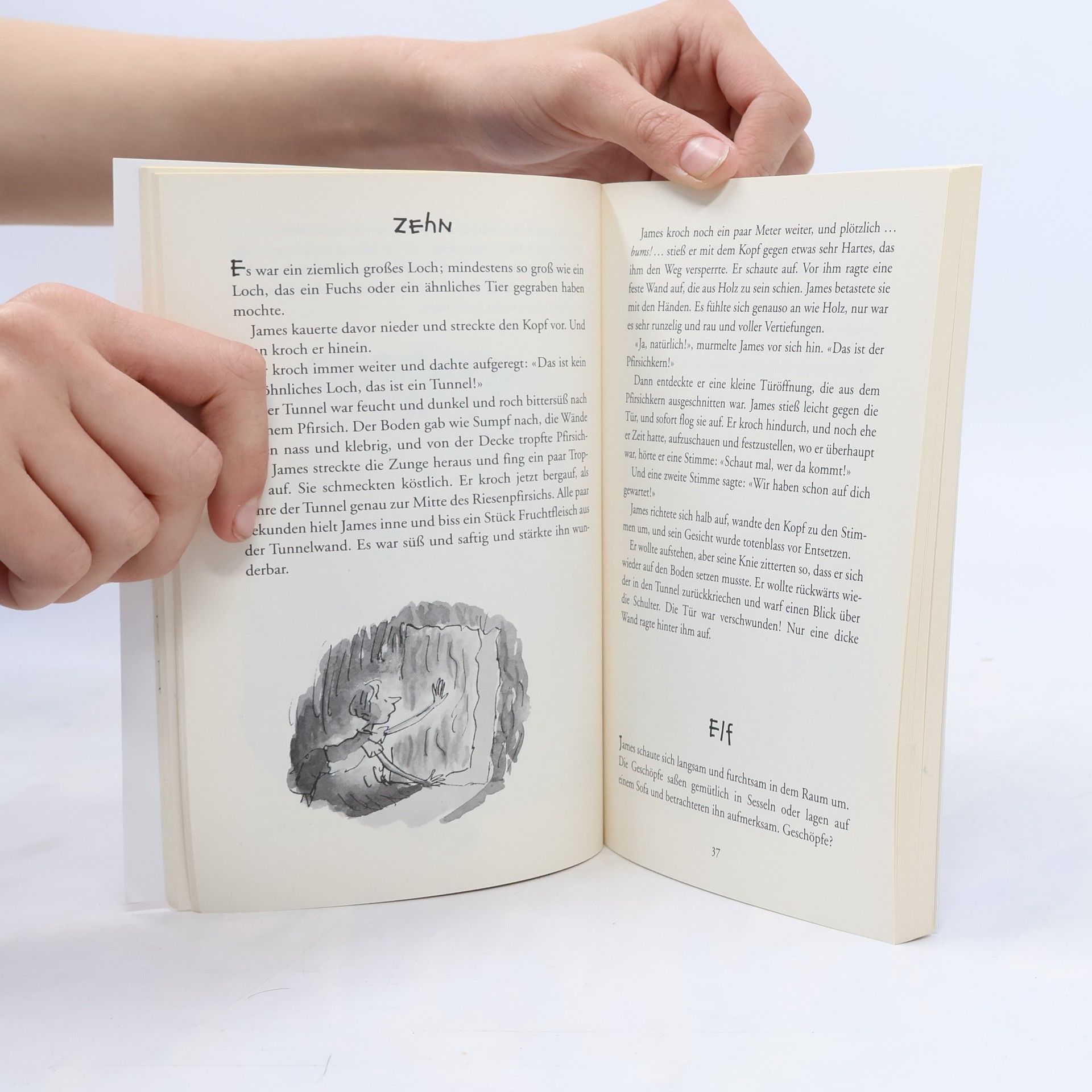 Roald Dahl James und der Riesenpfirsich