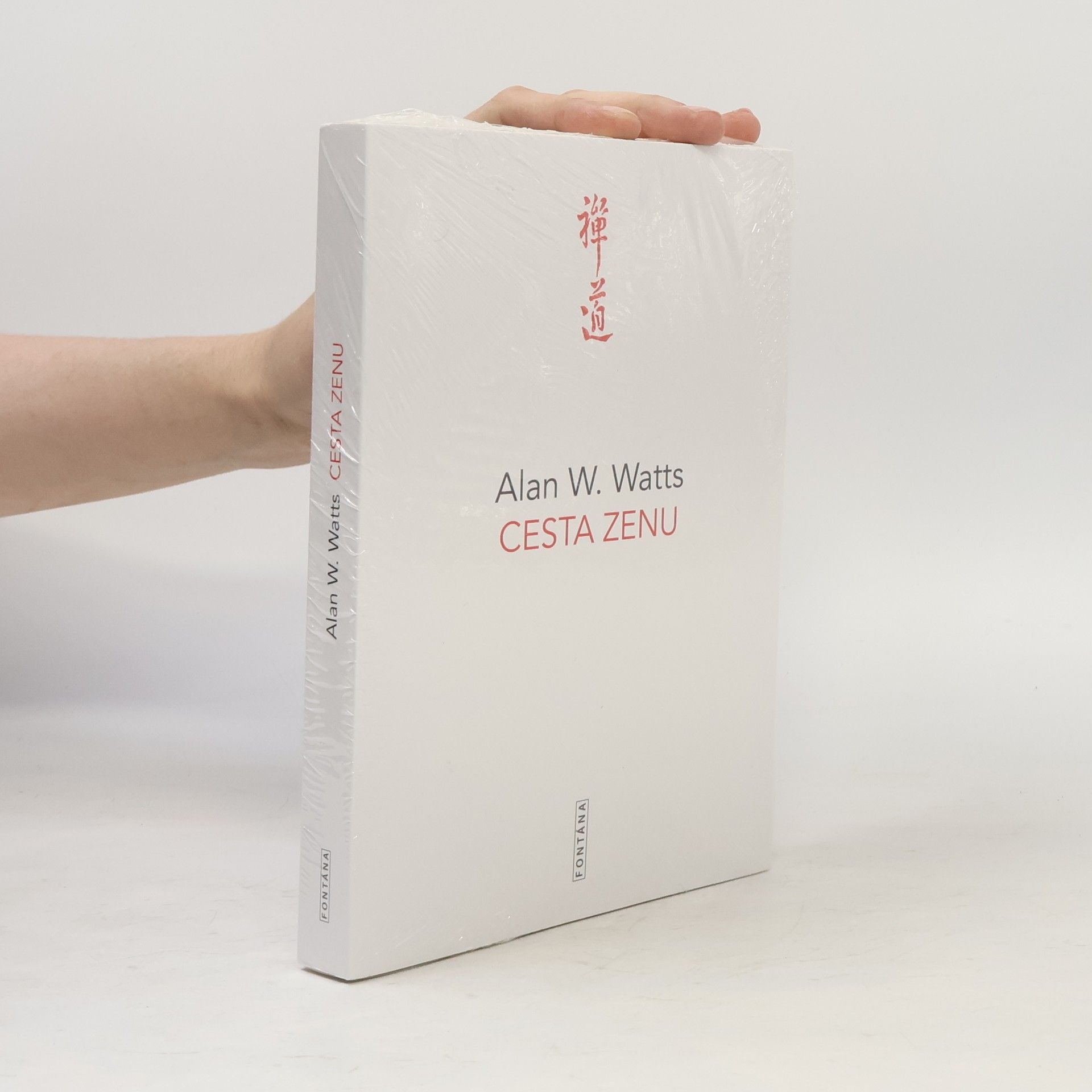 Alan Watts Cesta zenu
