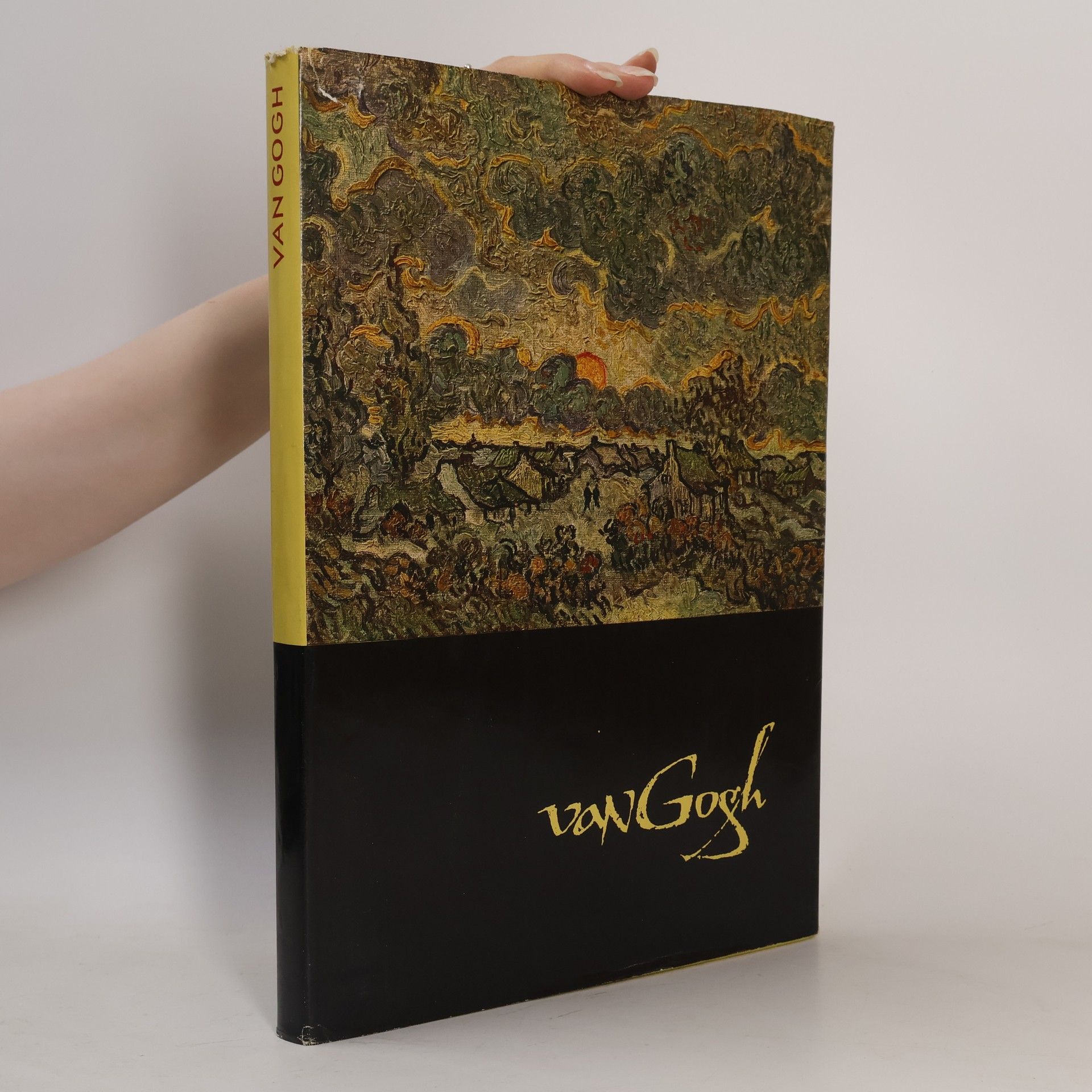 Vincent van Gogh Van Gogh