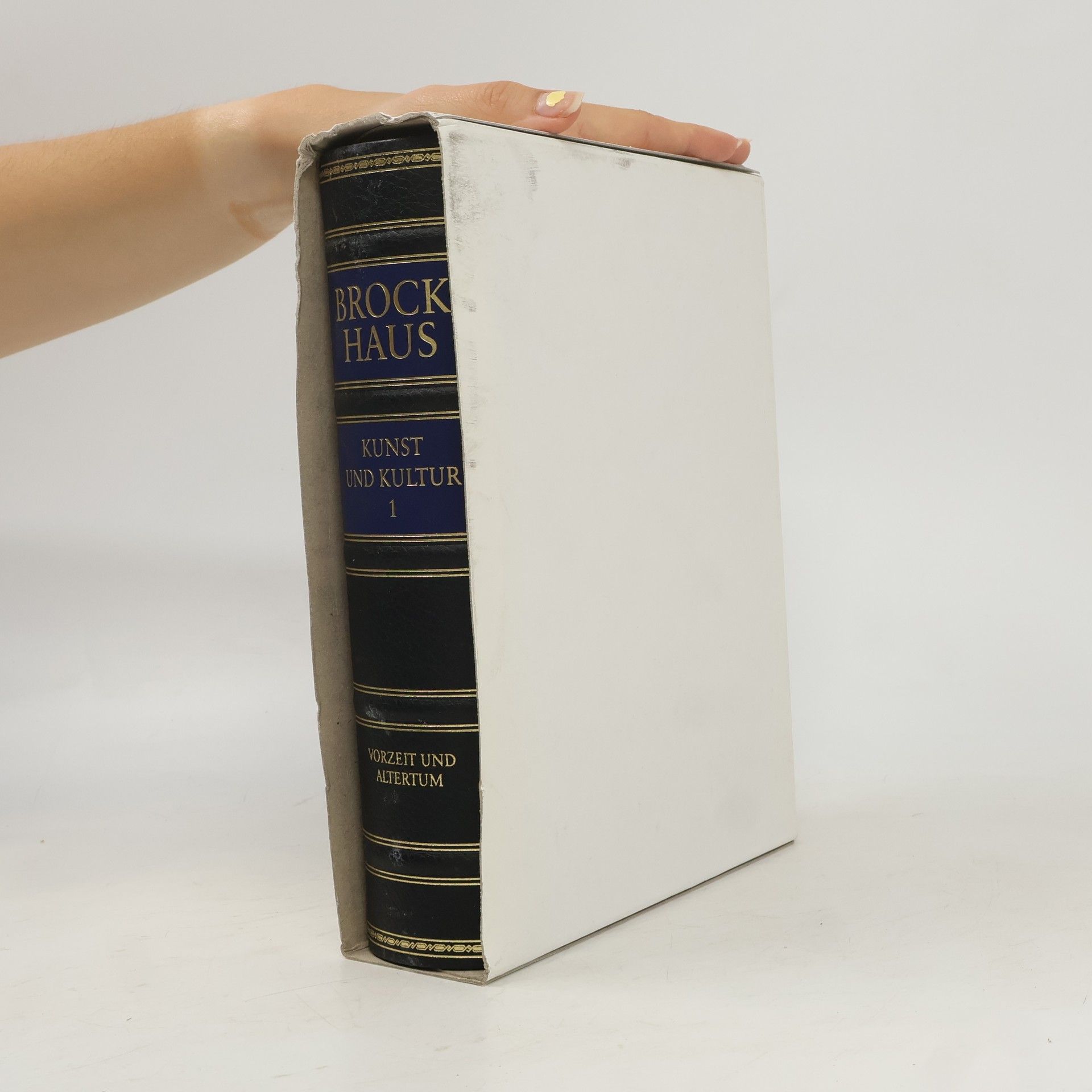 Brockhaus - die Bibliothek. Kunst und Kultur 1